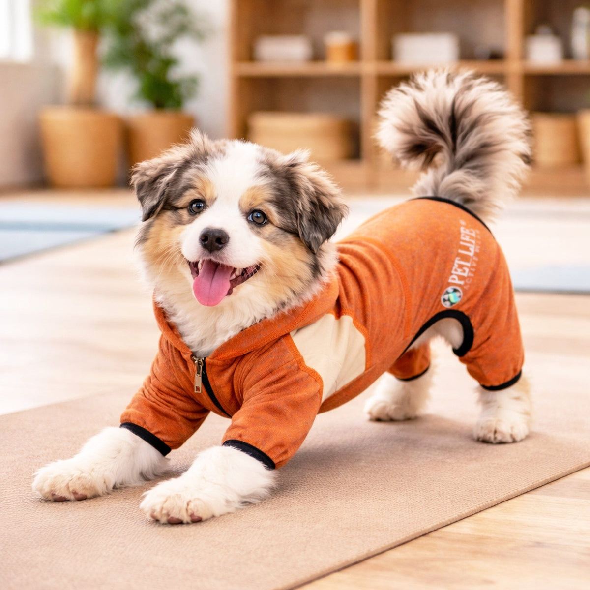 Pet Life Active Fur-Breeze Medium-weight 4-Way-Stretch Full Body Hooded Dog Yoga sweater | HT Animal Supply