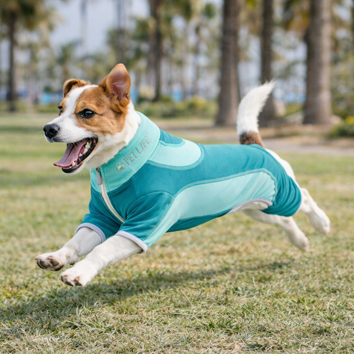 Pet Life Active Warm-Pup Stretchy and Quick-Drying Fitness Dog Yoga Warm-Up Tracksuit | HT Animal Supply