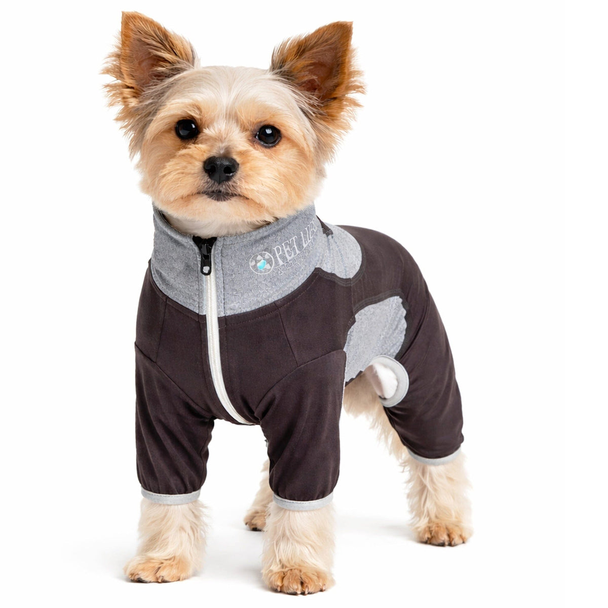 Pet Life Active Warm-Pup Stretchy and Quick-Drying Fitness Dog Yoga Warm-Up Tracksuit | HT Animal Supply