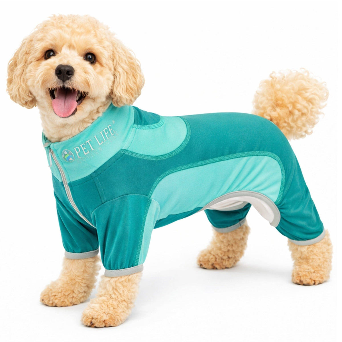 Pet Life Active Warm-Pup Stretchy and Quick-Drying Fitness Dog Yoga Warm-Up Tracksuit | HT Animal Supply