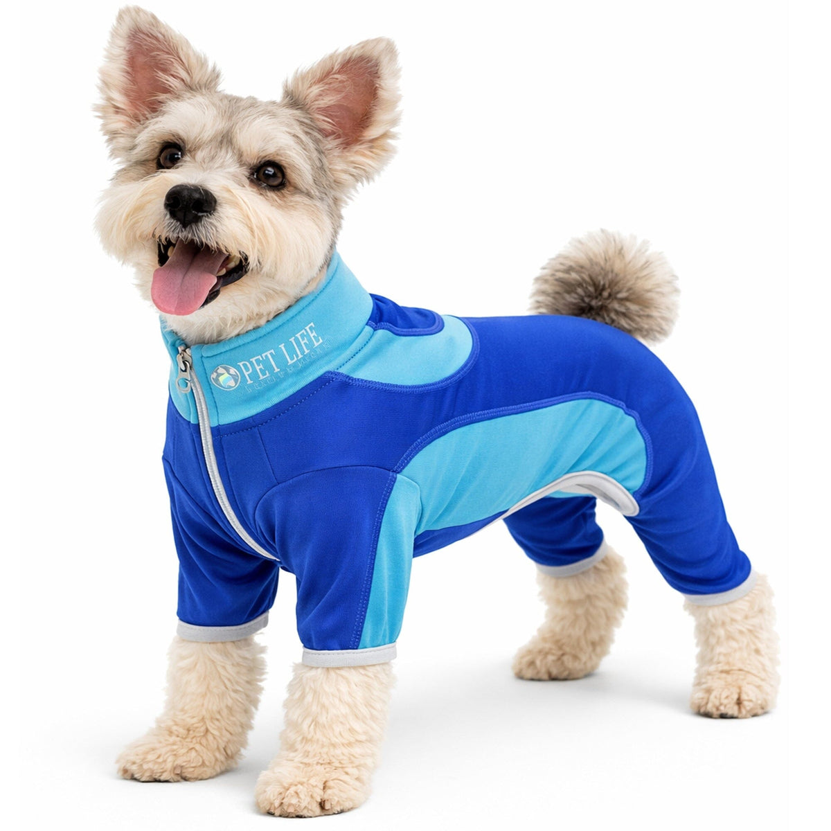 Pet Life Active Warm-Pup Stretchy and Quick-Drying Fitness Dog Yoga Warm-Up Tracksuit | HT Animal Supply