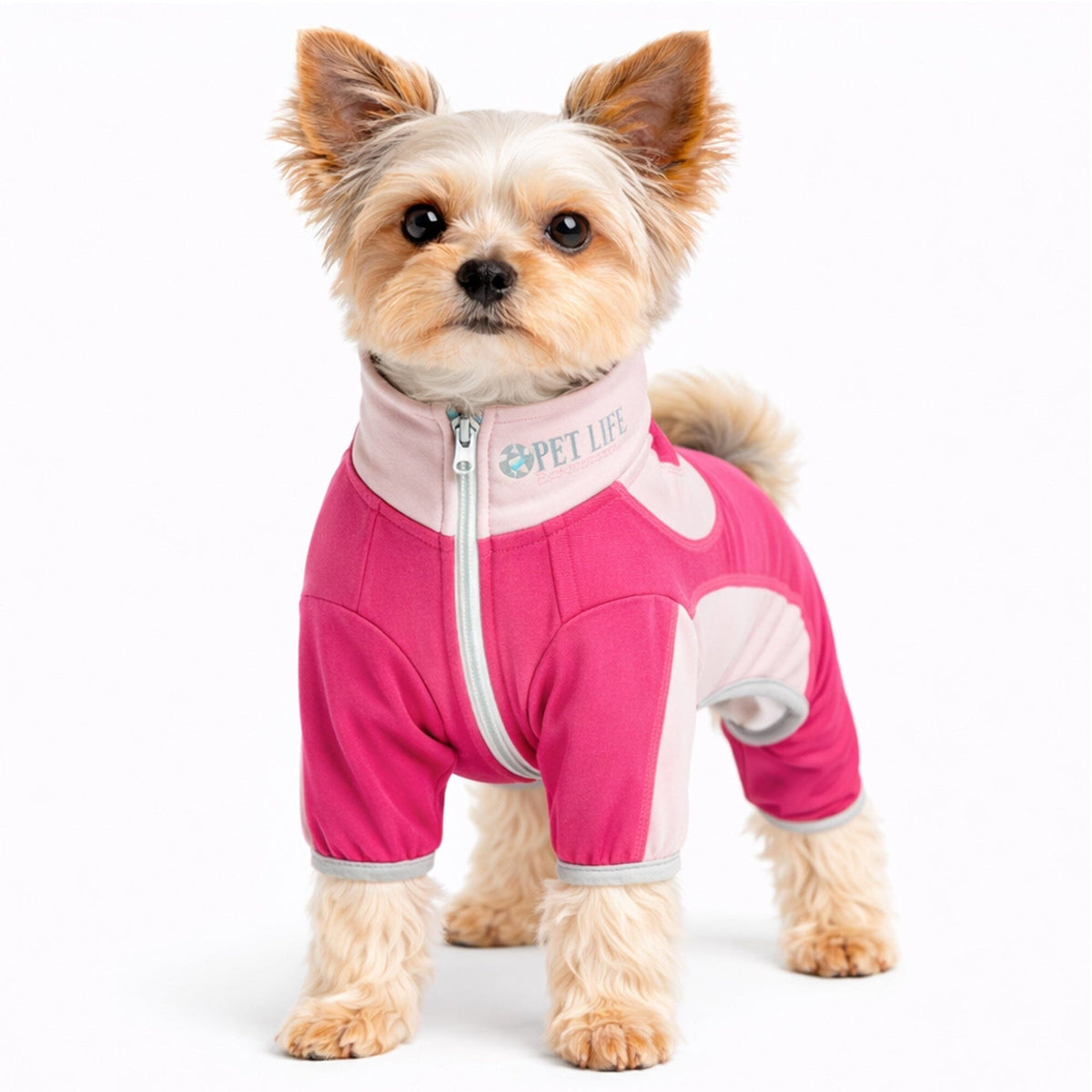Pet Life Active Warm-Pup Stretchy and Quick-Drying Fitness Dog Yoga Warm-Up Tracksuit | HT Animal Supply