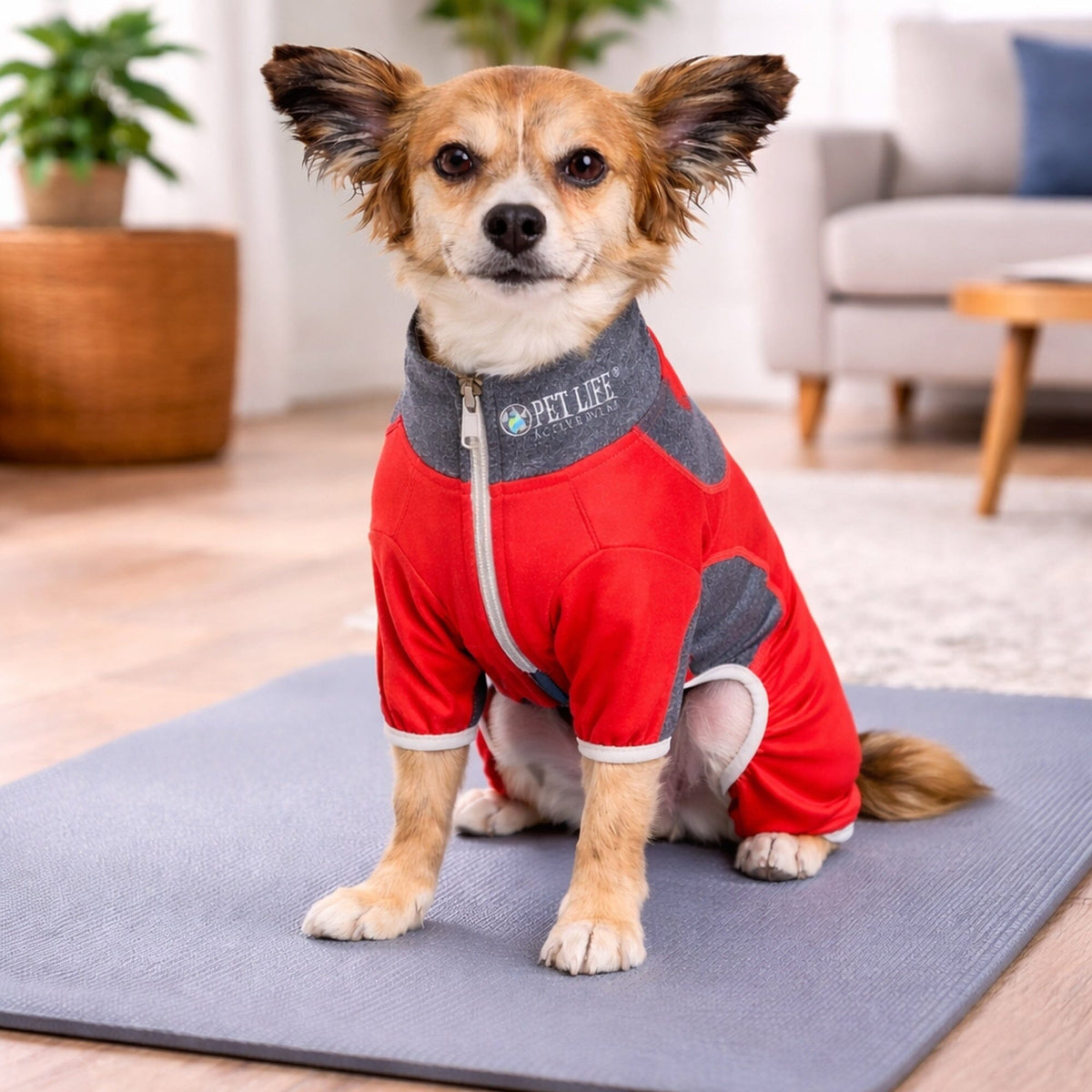Pet Life Active Warm-Pup Stretchy and Quick-Drying Fitness Dog Yoga Warm-Up Tracksuit | HT Animal Supply