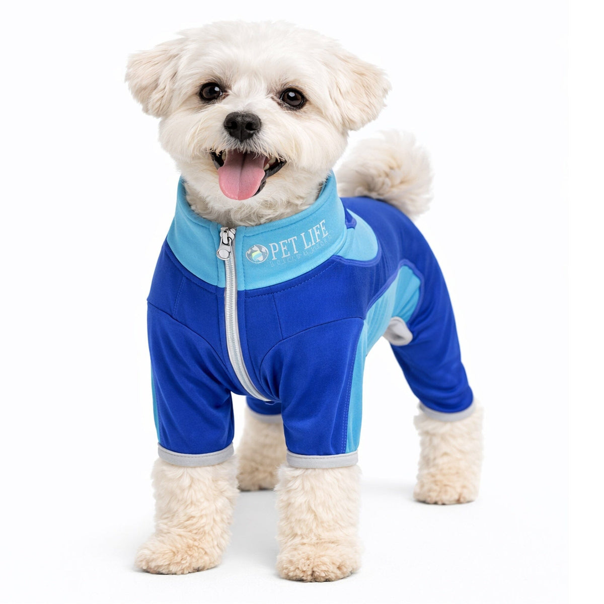Pet Life Active Warm-Pup Stretchy and Quick-Drying Fitness Dog Yoga Warm-Up Tracksuit | HT Animal Supply