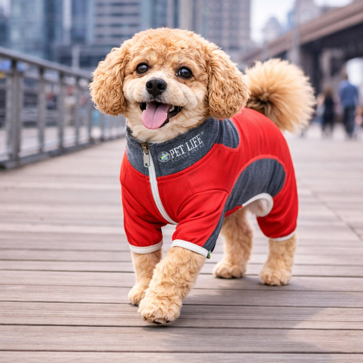 Pet Life Active Warm-Pup Stretchy and Quick-Drying Fitness Dog Yoga Warm-Up Tracksuit | HT Animal Supply