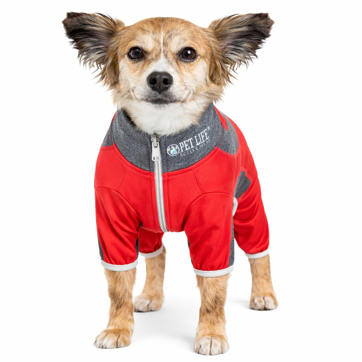 Pet Life Active Warm-Pup Stretchy and Quick-Drying Fitness Dog Yoga Warm-Up Tracksuit | HT Animal Supply