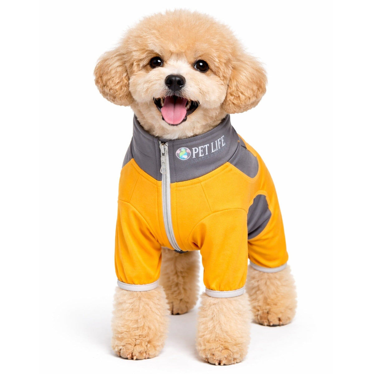 Pet Life Active Warm-Pup Stretchy and Quick-Drying Fitness Dog Yoga Warm-Up Tracksuit | HT Animal Supply