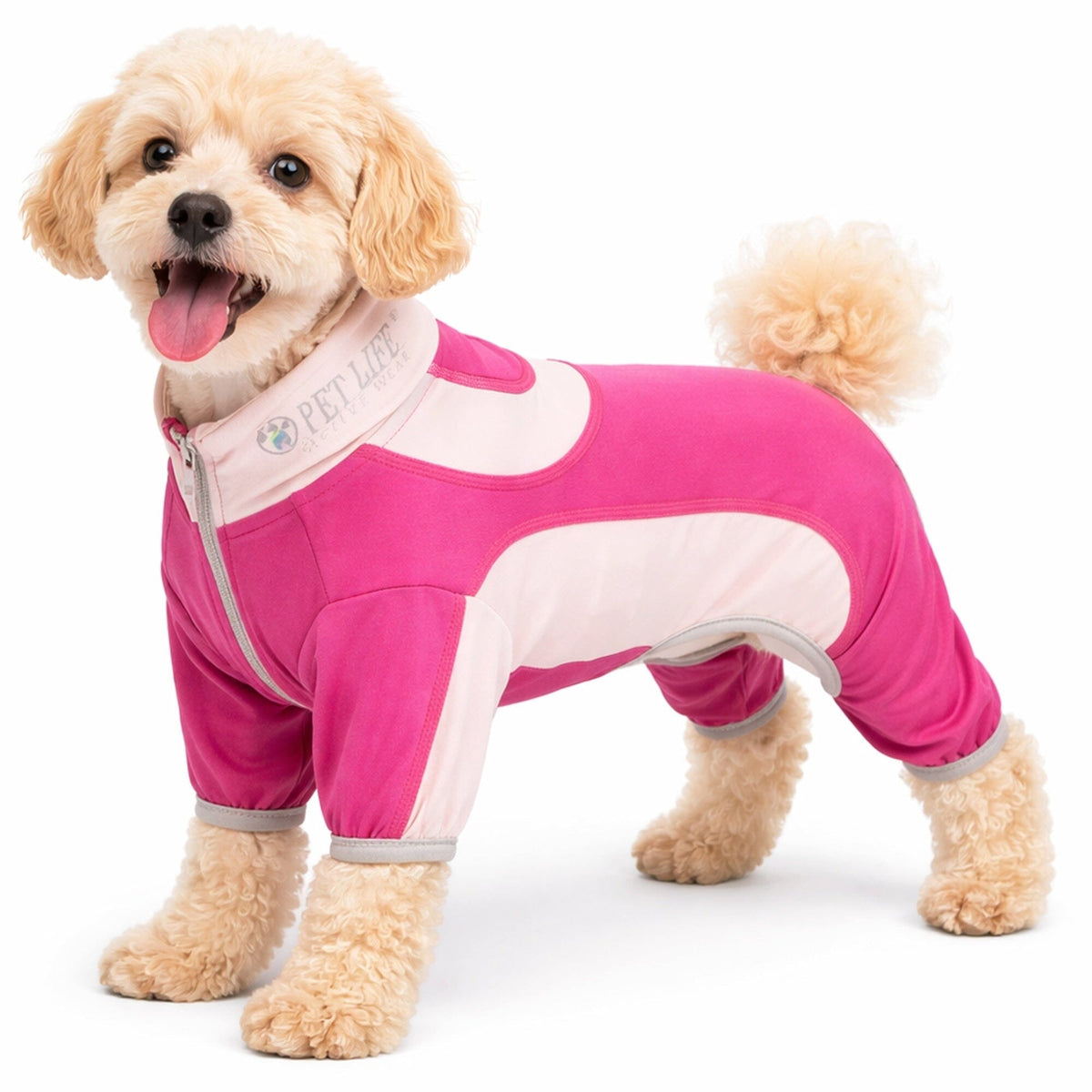 Pet Life Active Warm-Pup Stretchy and Quick-Drying Fitness Dog Yoga Warm-Up Tracksuit | HT Animal Supply