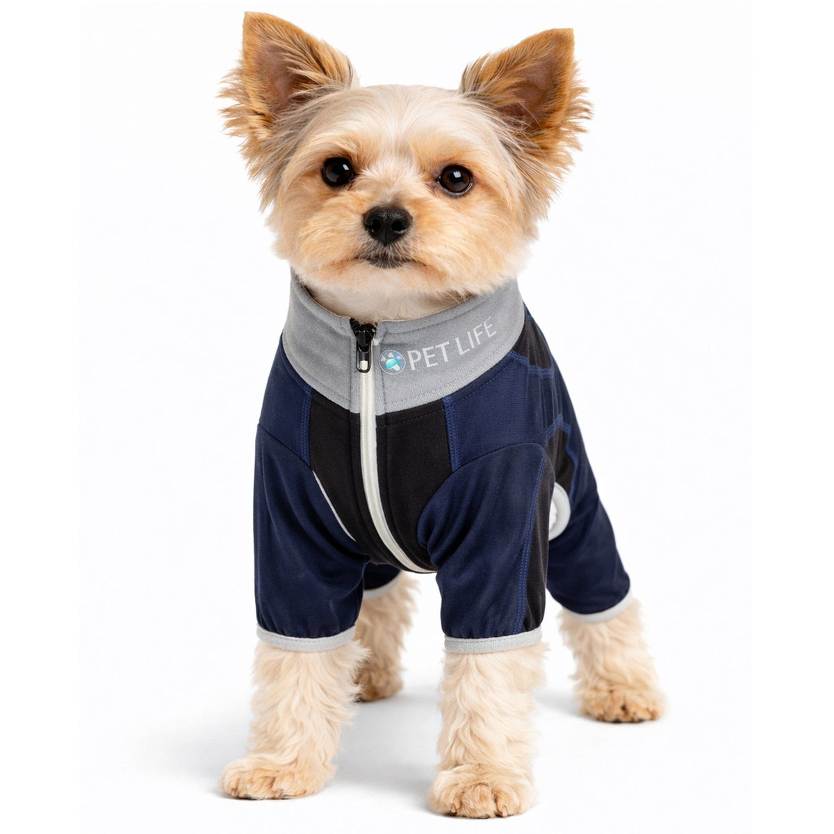 Pet Life Active Warm-Pup Stretchy and Quick-Drying Fitness Dog Yoga Warm-Up Tracksuit | HT Animal Supply