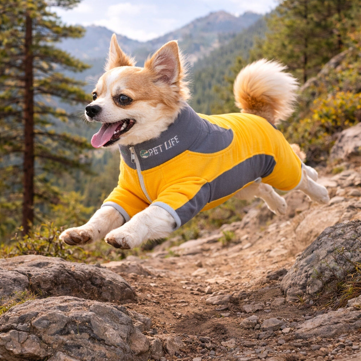 Pet Life Active Warm-Pup Stretchy and Quick-Drying Fitness Dog Yoga Warm-Up Tracksuit | HT Animal Supply