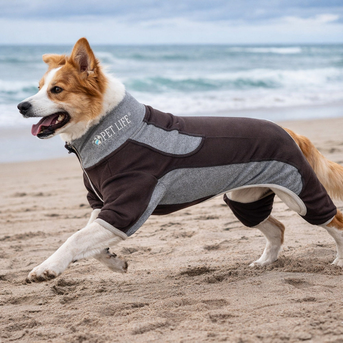 Pet Life Active Warm-Pup Stretchy and Quick-Drying Fitness Dog Yoga Warm-Up Tracksuit | HT Animal Supply