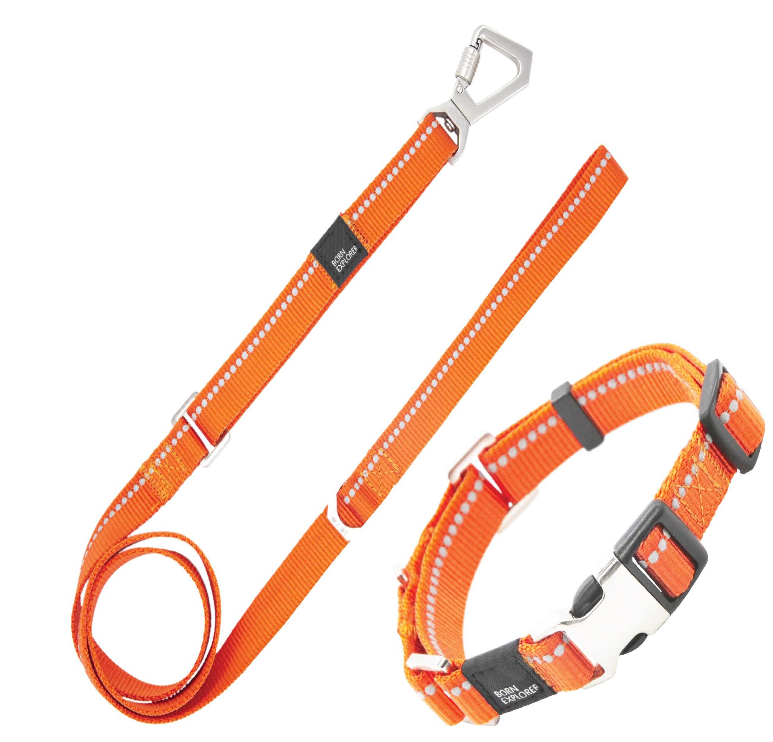 Pet Life Advent Outdoor Series 3M Reflective 2-in-1 Durable Martingale Training Dog Leash and Collar