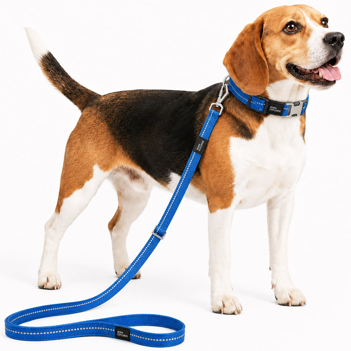 Pet Life Advent Outdoor Series 3M Reflective 2-in-1 Durable Martingale Training Dog Leash and Collar | HT Animal Supply
