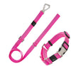 Pet Life Advent Outdoor Series 3M Reflective 2-in-1 Durable Martingale Training Dog Leash and Collar
