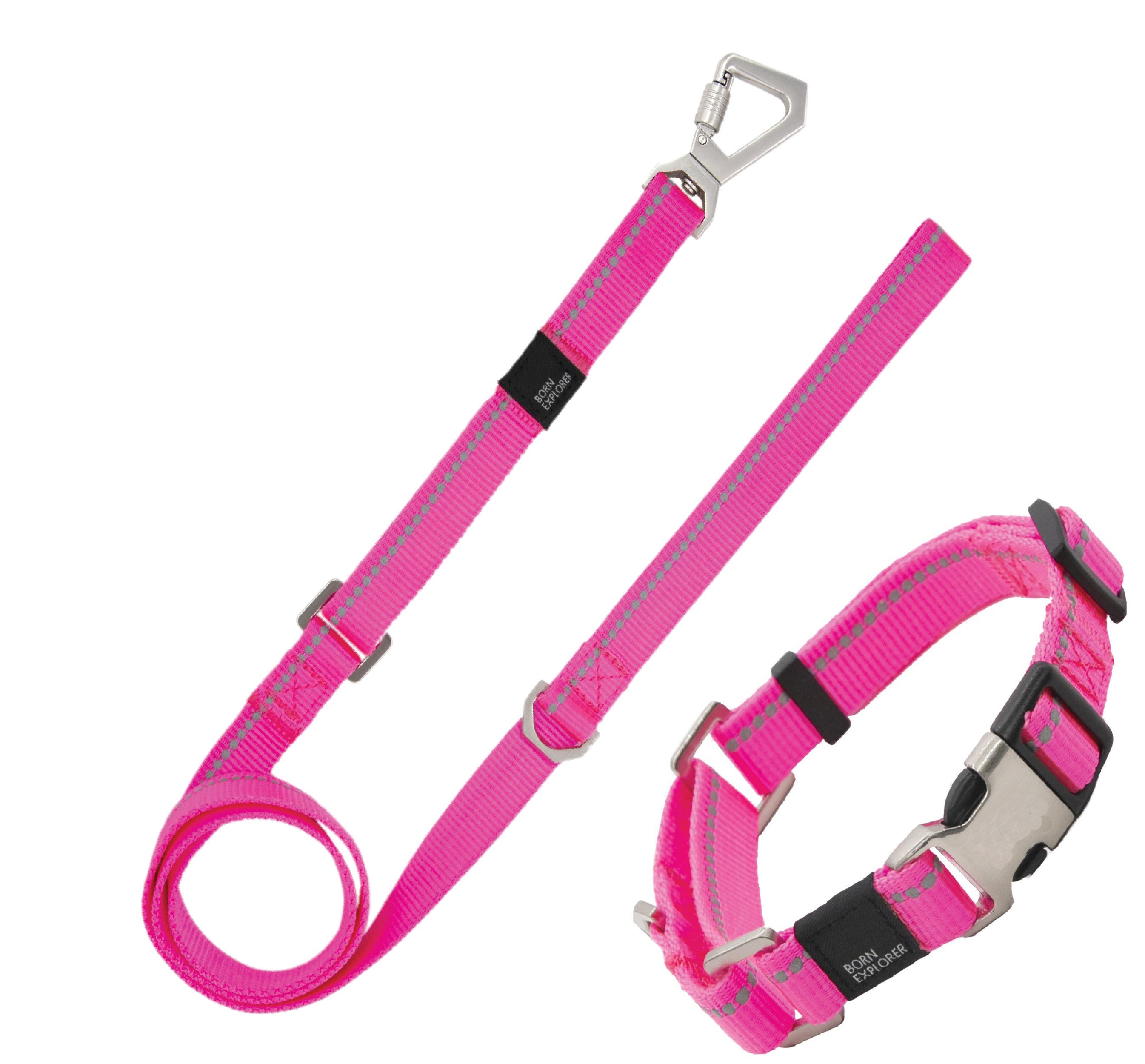 Pet Life Advent Outdoor Series 3M Reflective 2-in-1 Durable Martingale Training Dog Leash and Collar