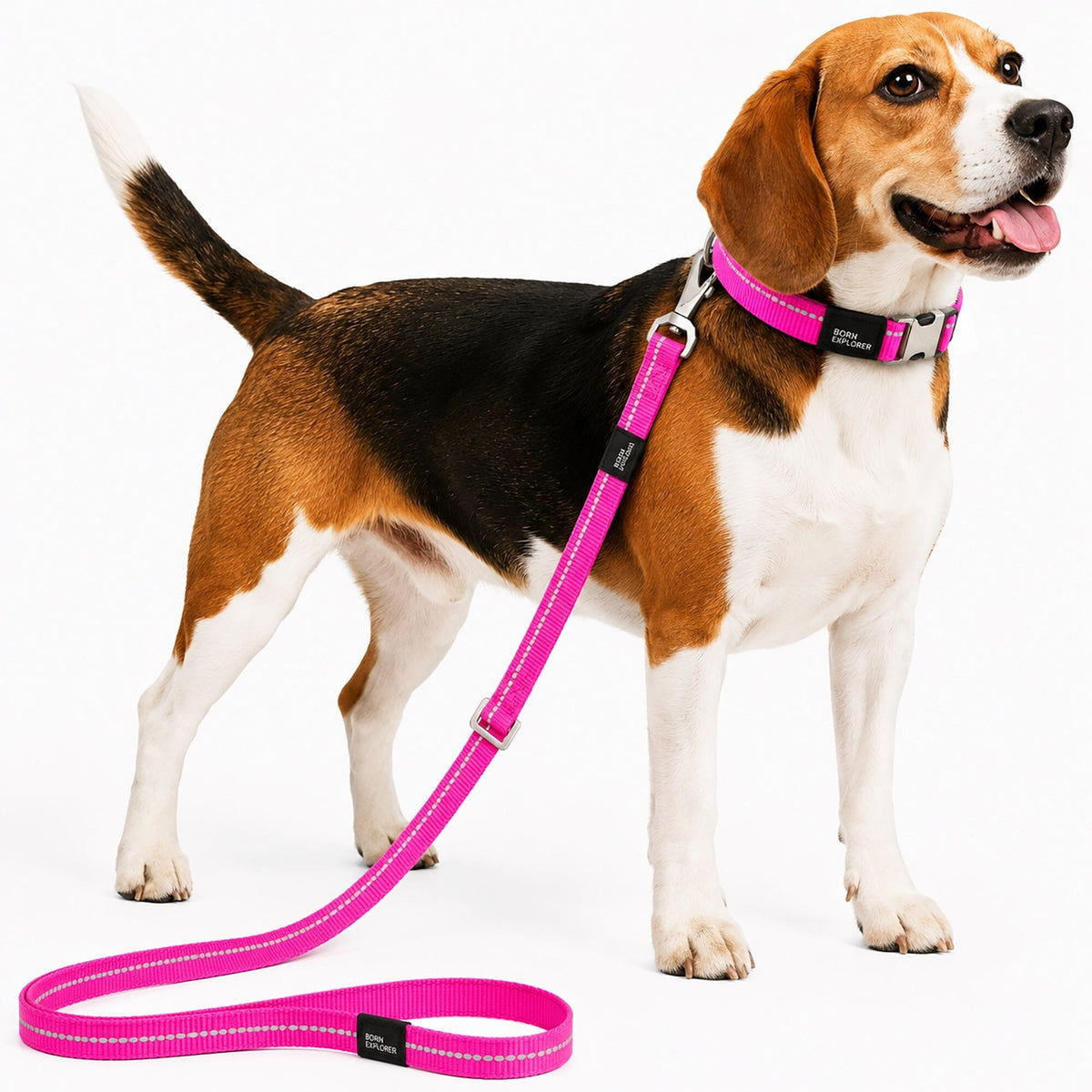 Pet Life Advent Outdoor Series 3M Reflective 2-in-1 Durable Martingale Training Dog Leash and Collar | HT Animal Supply