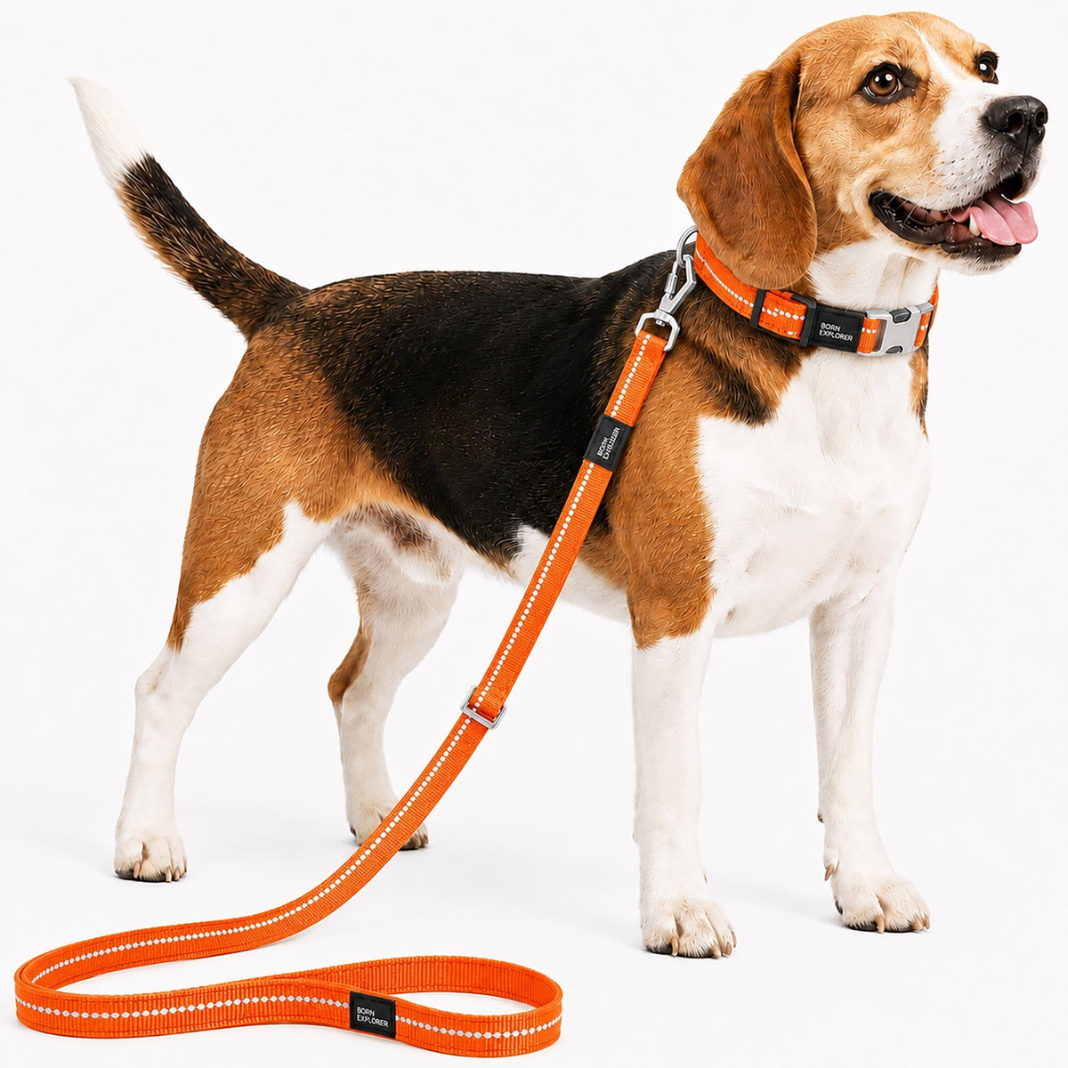 Pet Life Advent Outdoor Series 3M Reflective 2-in-1 Durable Martingale Training Dog Leash and Collar | HT Animal Supply