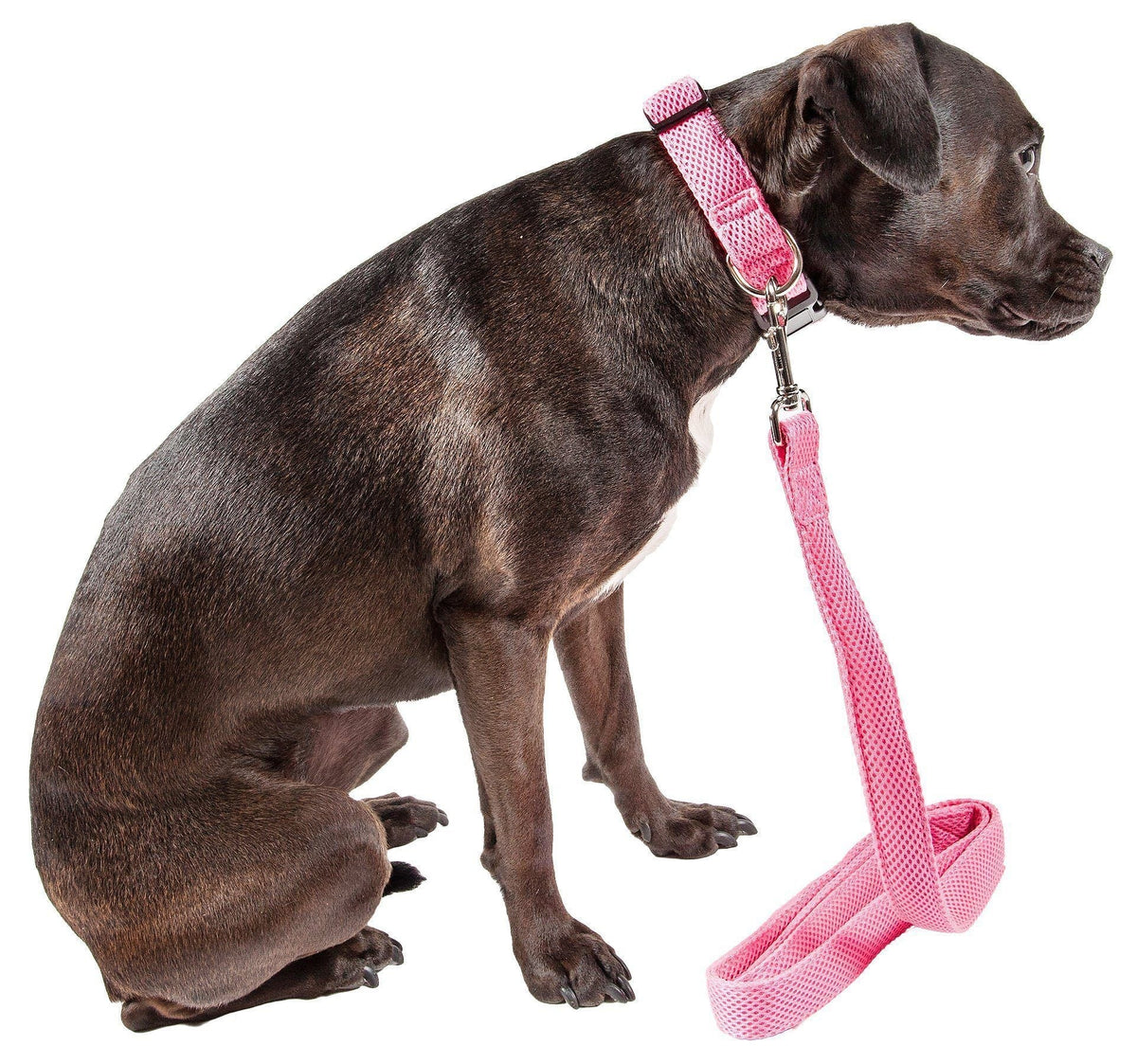 Pet Life Aero Mesh 2-In-1 Breathable and Adjustable Dual-Sided Mesh Dog Leash and Collar