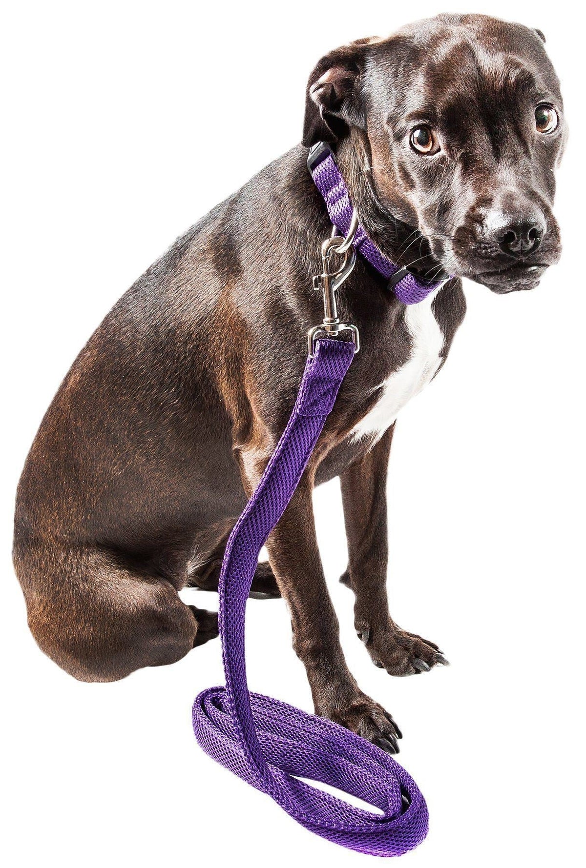 Pet Life Aero Mesh 2-In-1 Breathable and Adjustable Dual-Sided Mesh Dog Leash and Collar