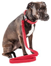 Pet Life Aero Mesh 2-In-1 Breathable and Adjustable Dual-Sided Mesh Dog Leash and Collar