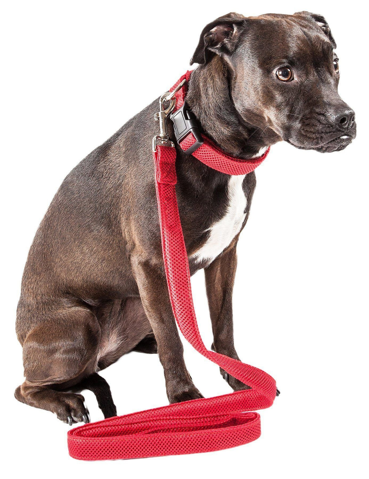 Pet Life Aero Mesh 2-In-1 Breathable and Adjustable Dual-Sided Mesh Dog Leash and Collar