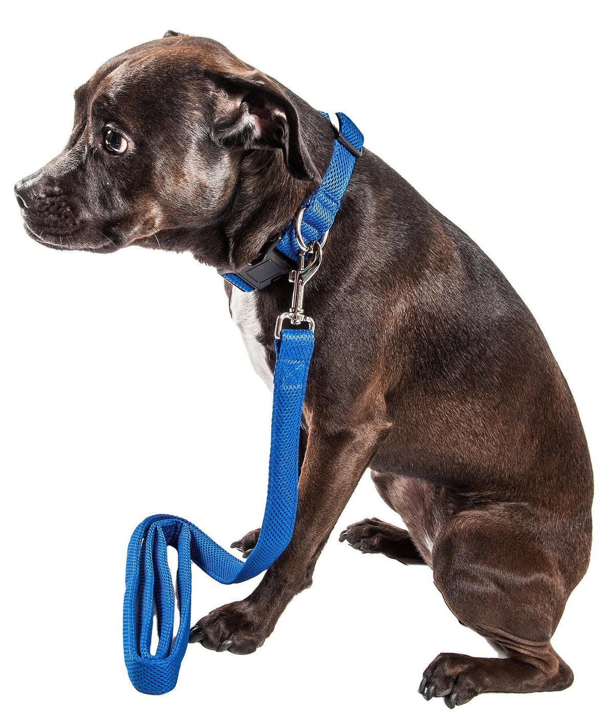 Pet Life Aero Mesh 2-In-1 Breathable and Adjustable Dual-Sided Mesh Dog Leash and Collar