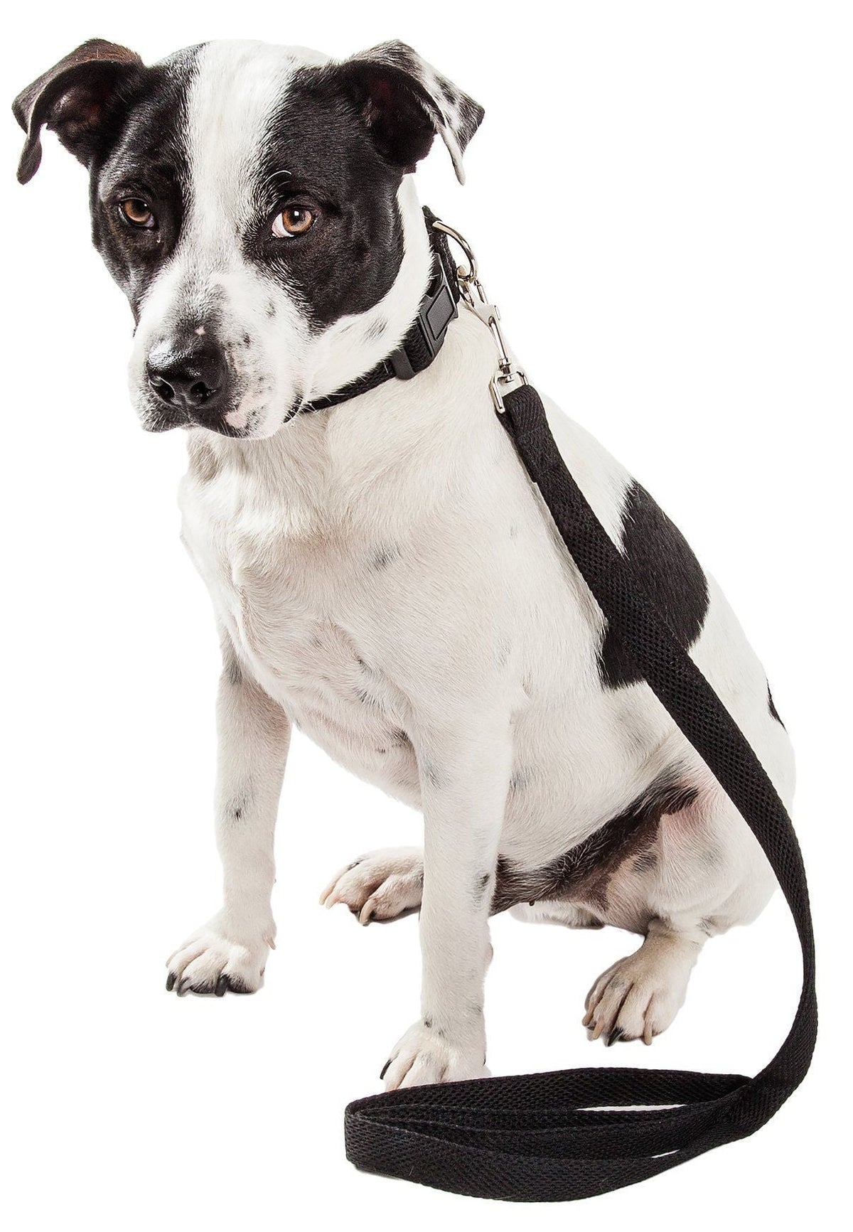 Pet Life Aero Mesh 2-In-1 Breathable and Adjustable Dual-Sided Mesh Dog Leash and Collar