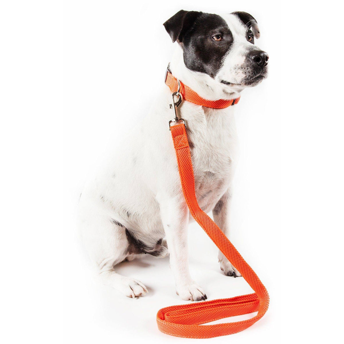 Pet Life Aero Mesh 2-In-1 Breathable and Adjustable Dual-Sided Mesh Dog Leash and Collar