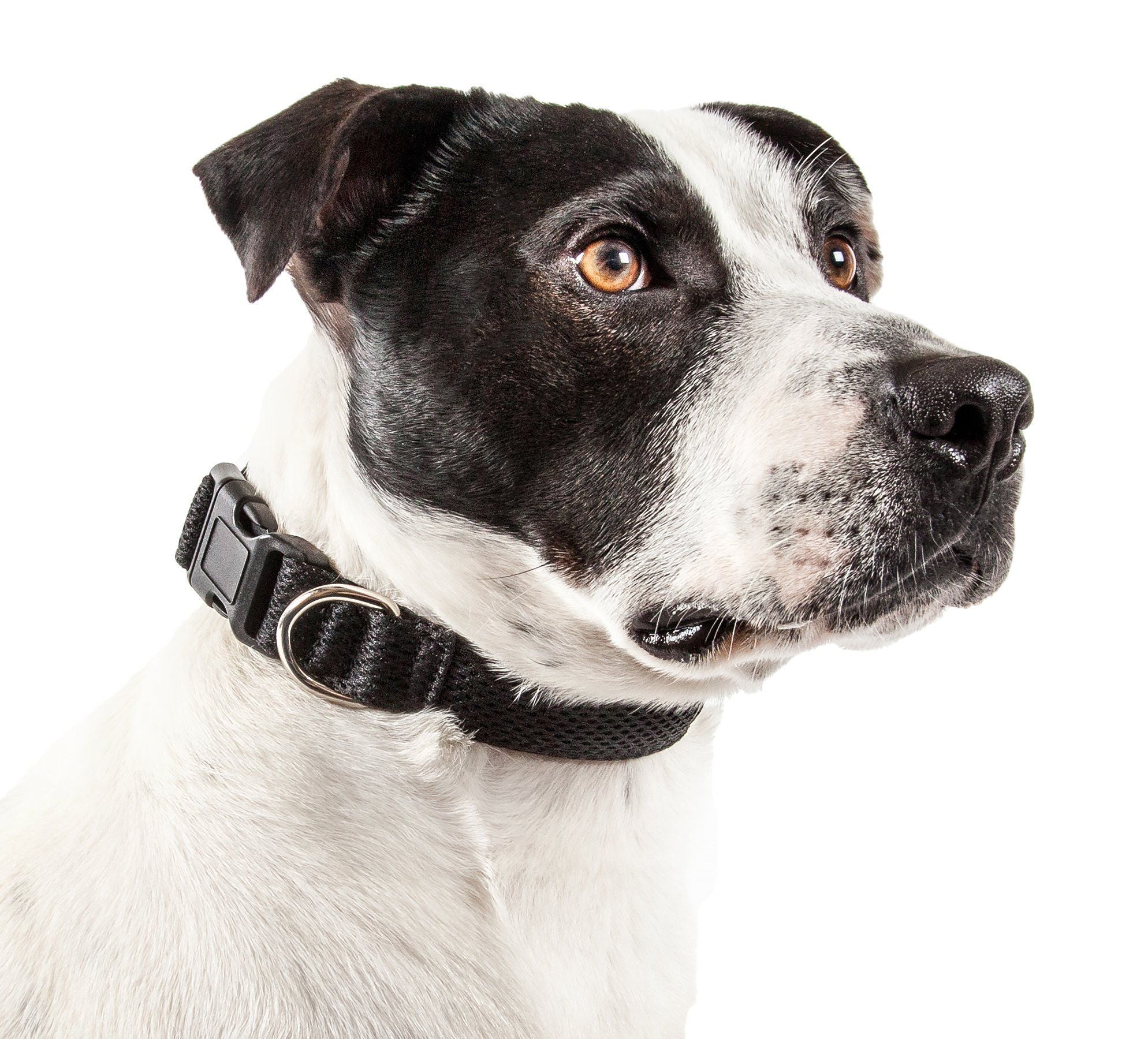 Pet Life Aero Mesh Dual-Sided Breathable and Adjustable Thick Mesh Dog Collar