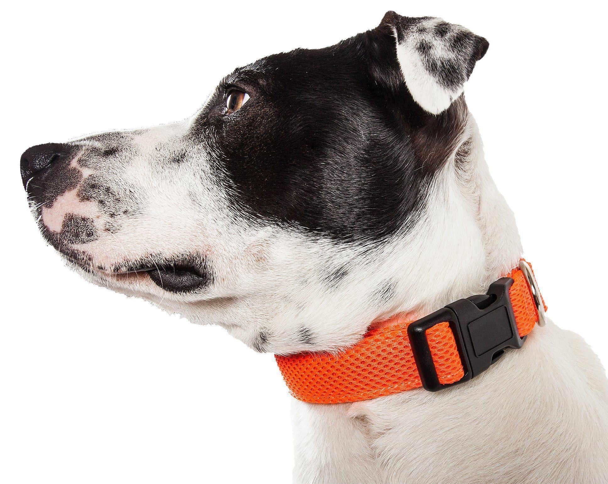 Pet Life Aero Mesh Dual-Sided Breathable and Adjustable Thick Mesh Dog Collar