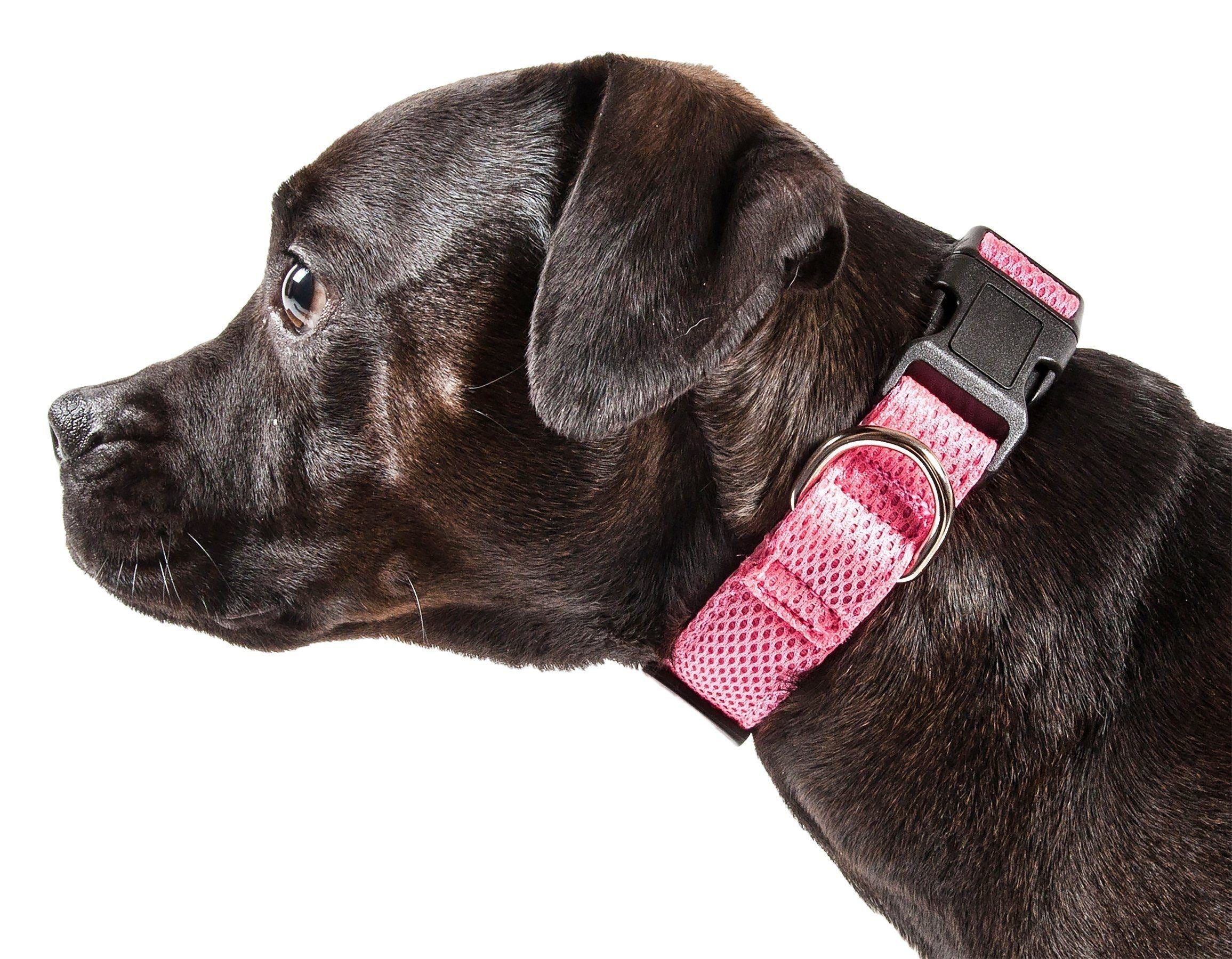 Pet Life Aero Mesh Dual-Sided Breathable and Adjustable Thick Mesh Dog Collar