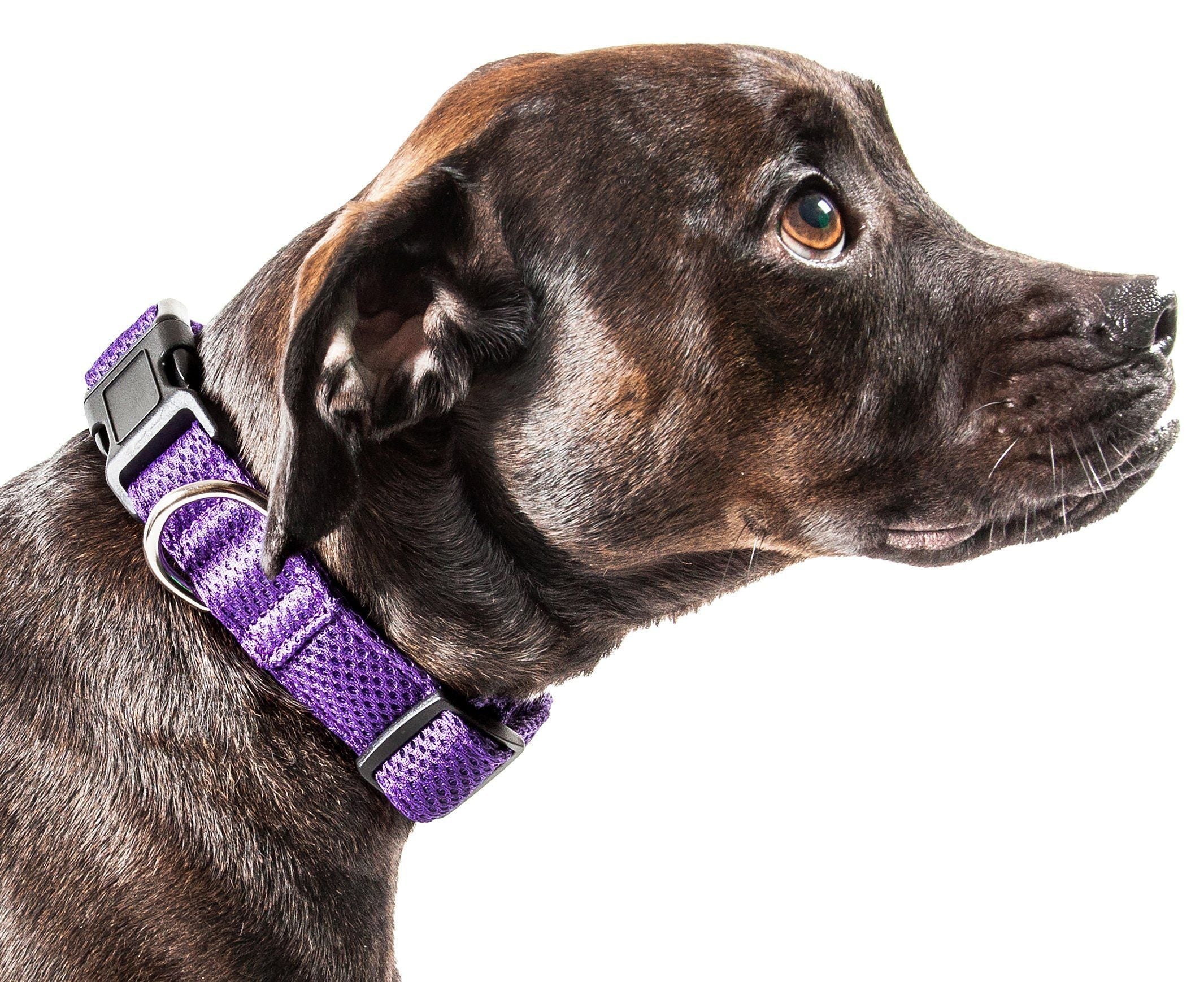 Pet Life Aero Mesh Dual-Sided Breathable and Adjustable Thick Mesh Dog Collar