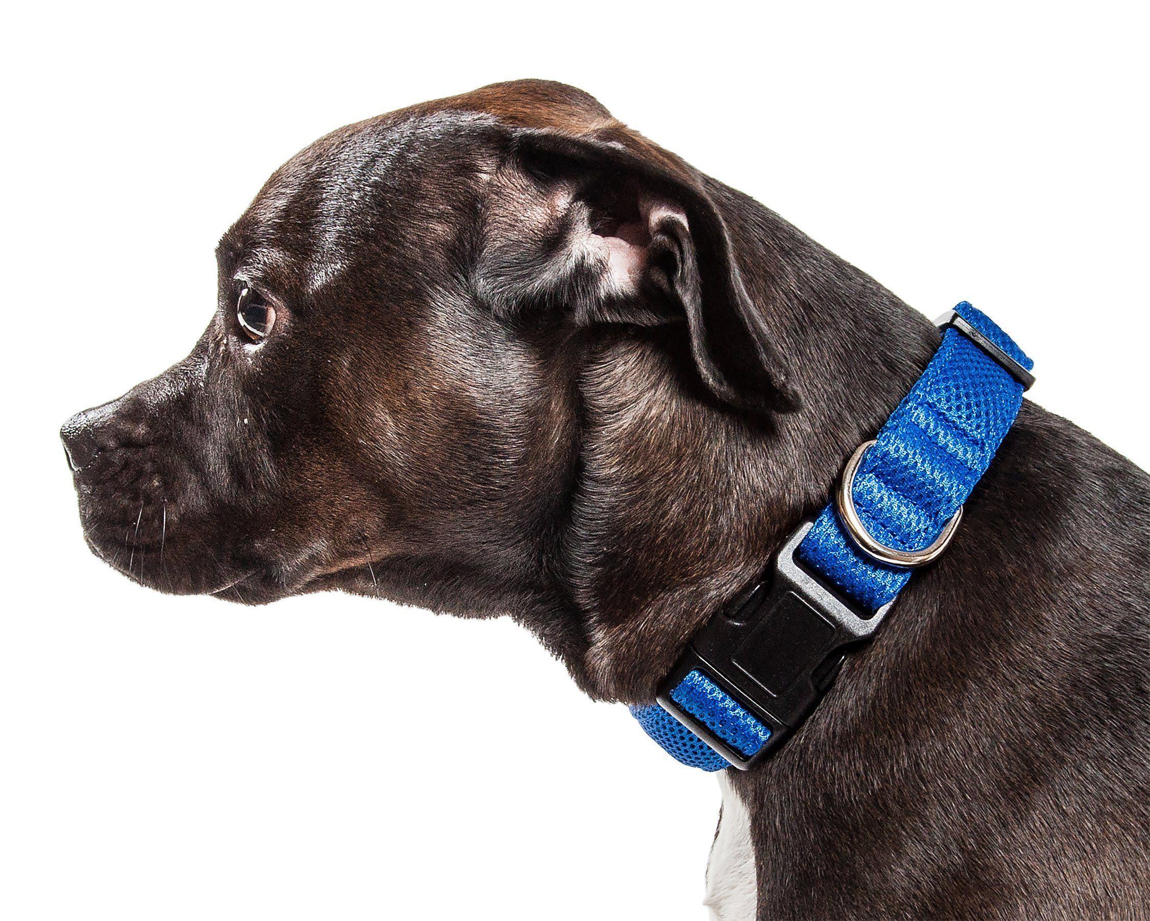 Pet Life Aero Mesh Dual-Sided Breathable and Adjustable Thick Mesh Dog Collar