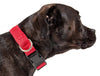 Pet Life Aero Mesh Dual-Sided Breathable and Adjustable Thick Mesh Dog Collar