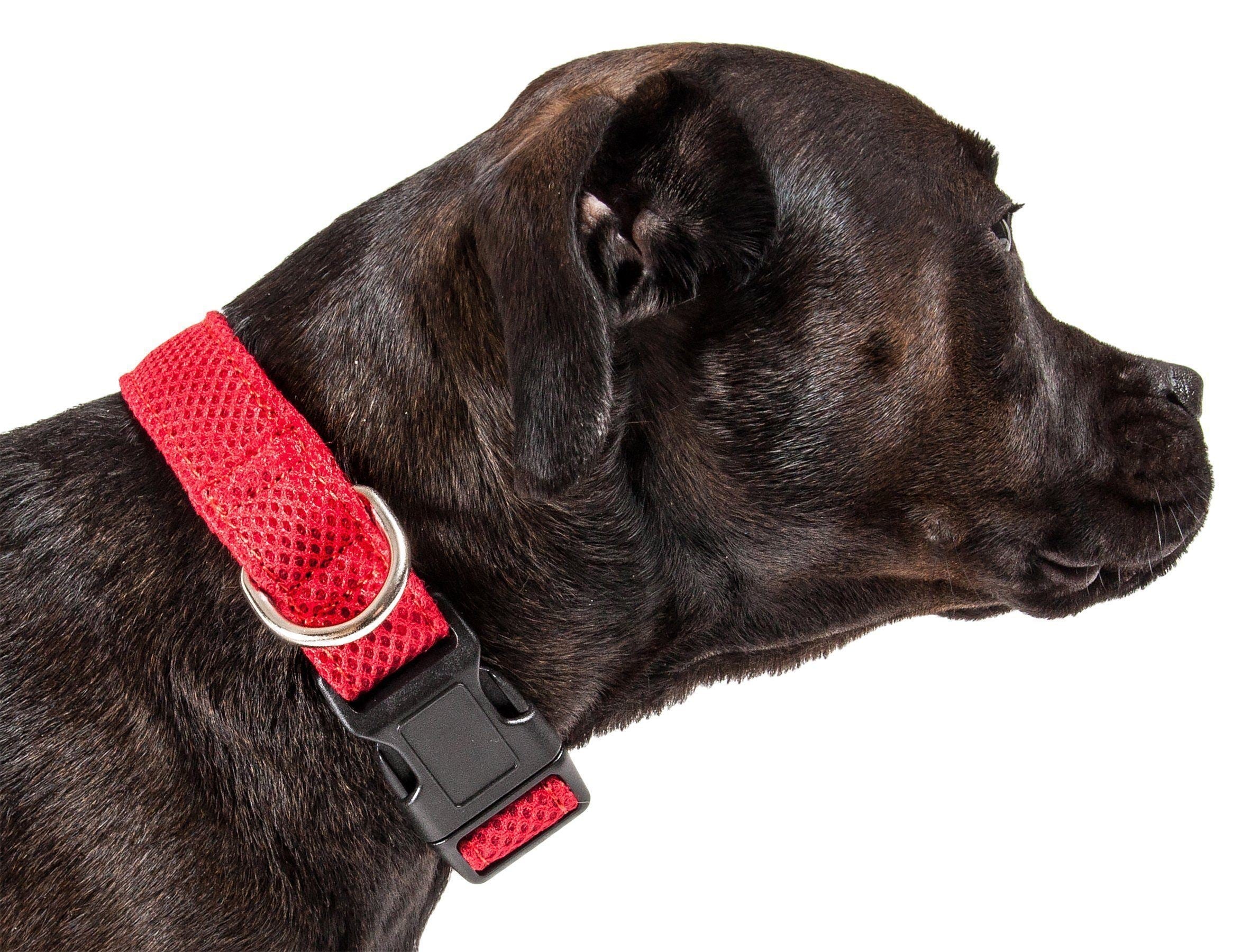 Pet Life Aero Mesh Dual-Sided Breathable and Adjustable Thick Mesh Dog Collar