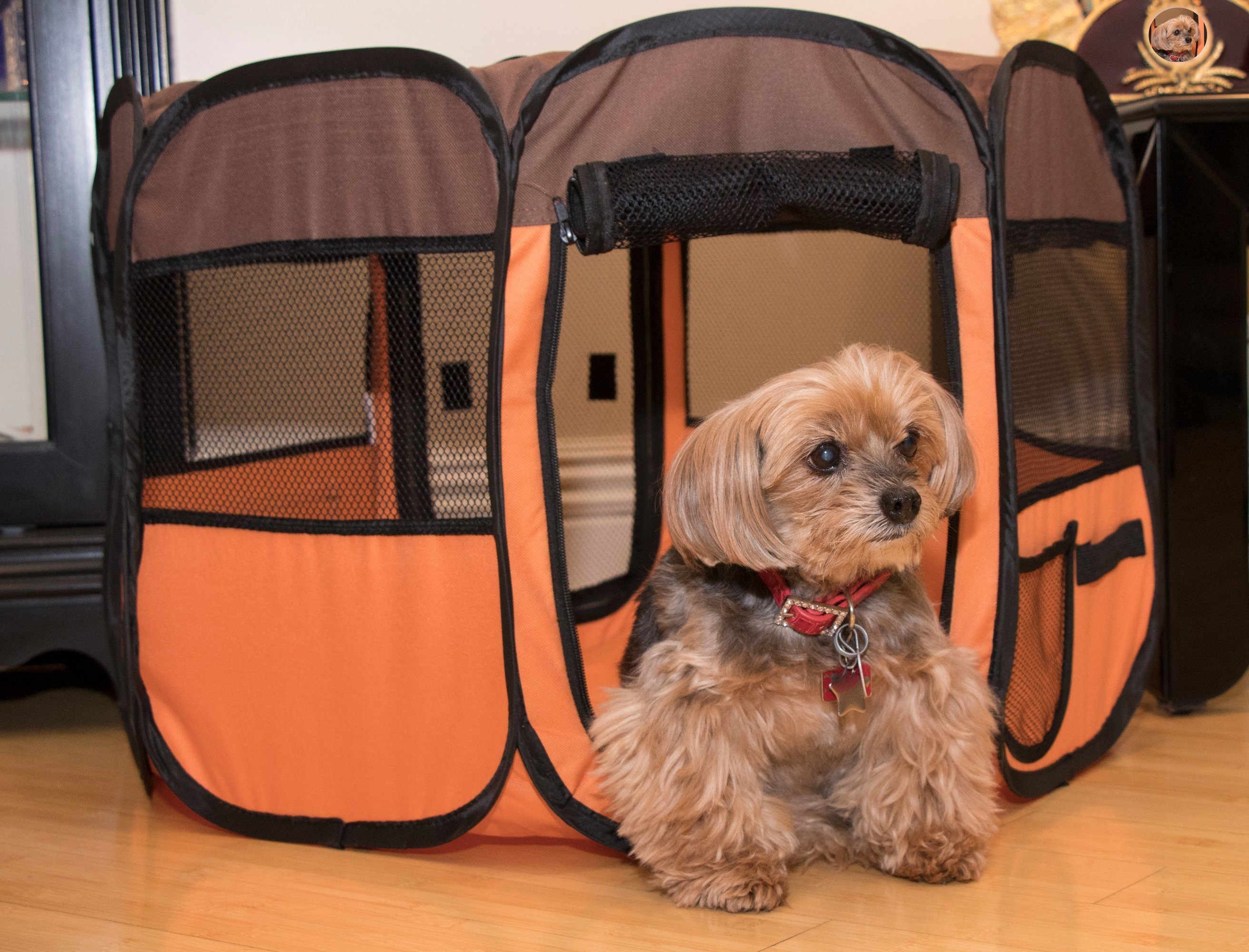 Pet Life ® All-Terrain Lightweight Easy Folding Wire-Framed Collapsible Travel Pet Dog Playpen crate