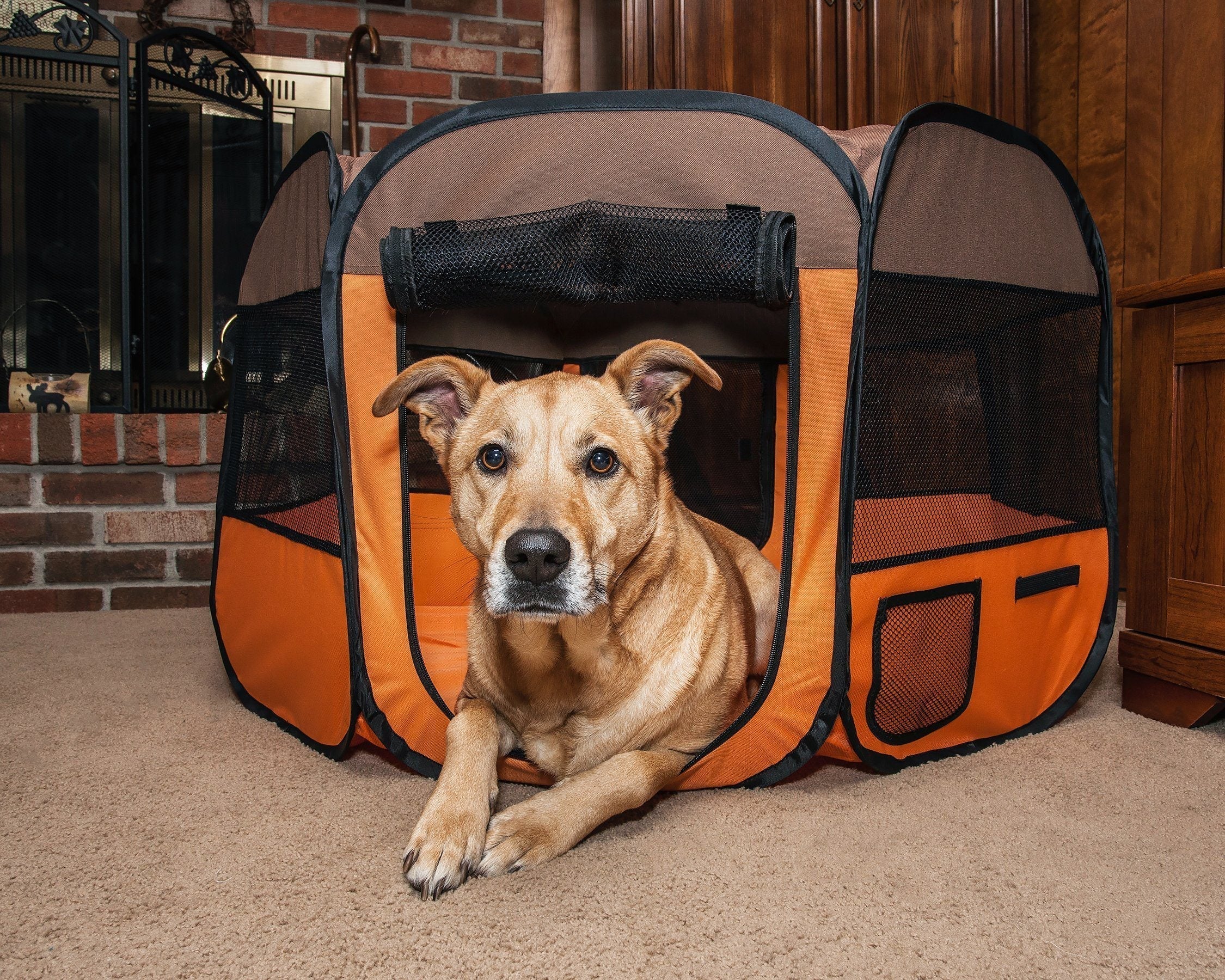Pet Life All-Terrain Lightweight Easy Folding Wire-Framed Collapsible Travel Pet Dog Playpen crate
