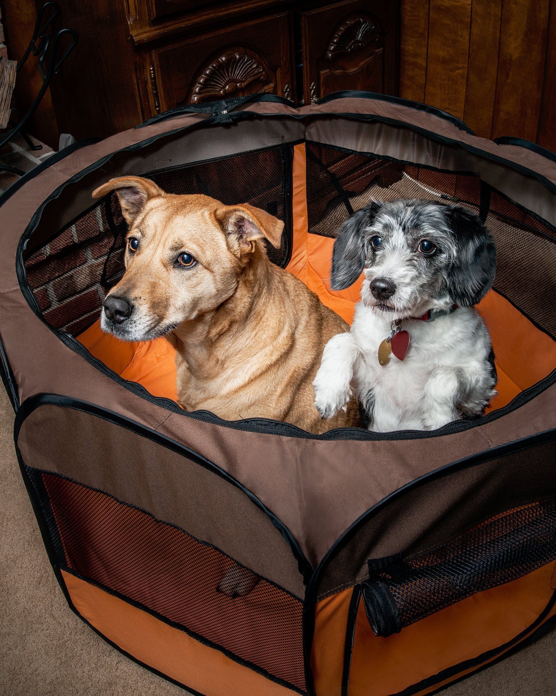 Pet Life All-Terrain Lightweight Easy Folding Wire-Framed Collapsible Travel Pet Dog Playpen crate