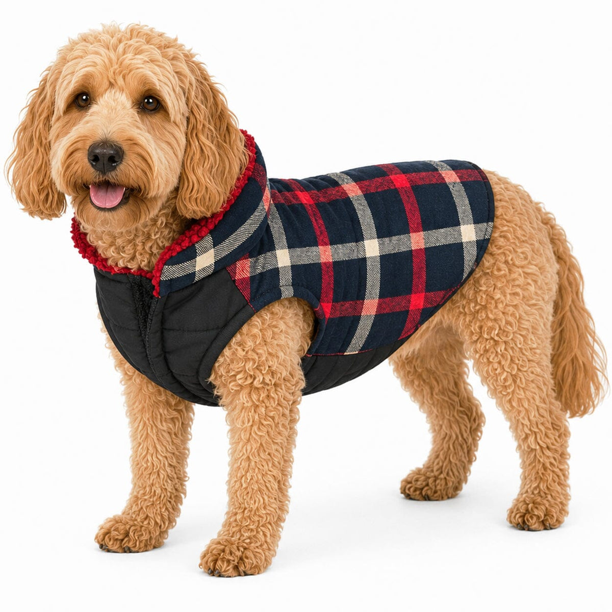 Pet Life Allegiance Classical Insulated Plaid Fashion Dog Jacket | HT Animal Supply