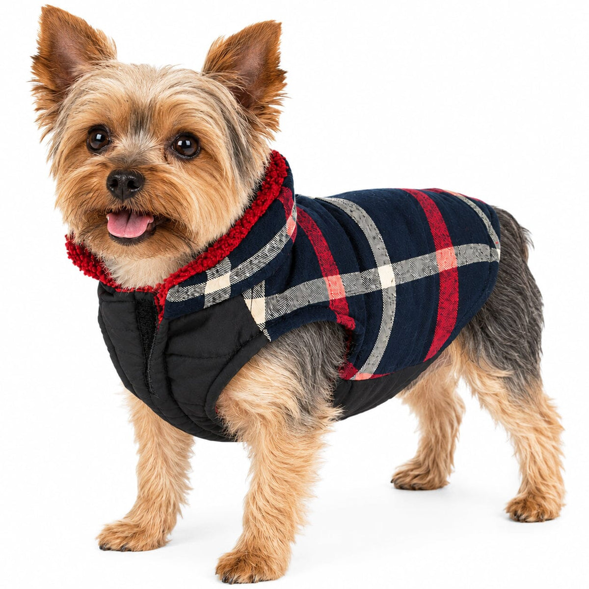 Pet Life Allegiance Classical Insulated Plaid Fashion Dog Jacket | HT Animal Supply