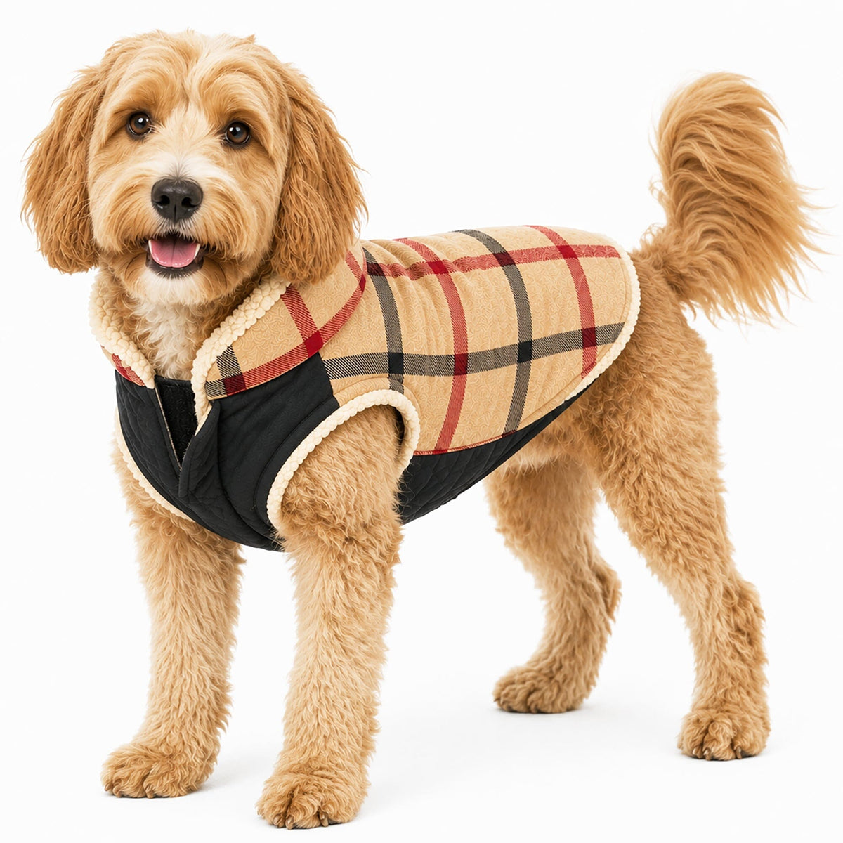 Pet Life Allegiance Classical Insulated Plaid Fashion Dog Jacket | HT Animal Supply