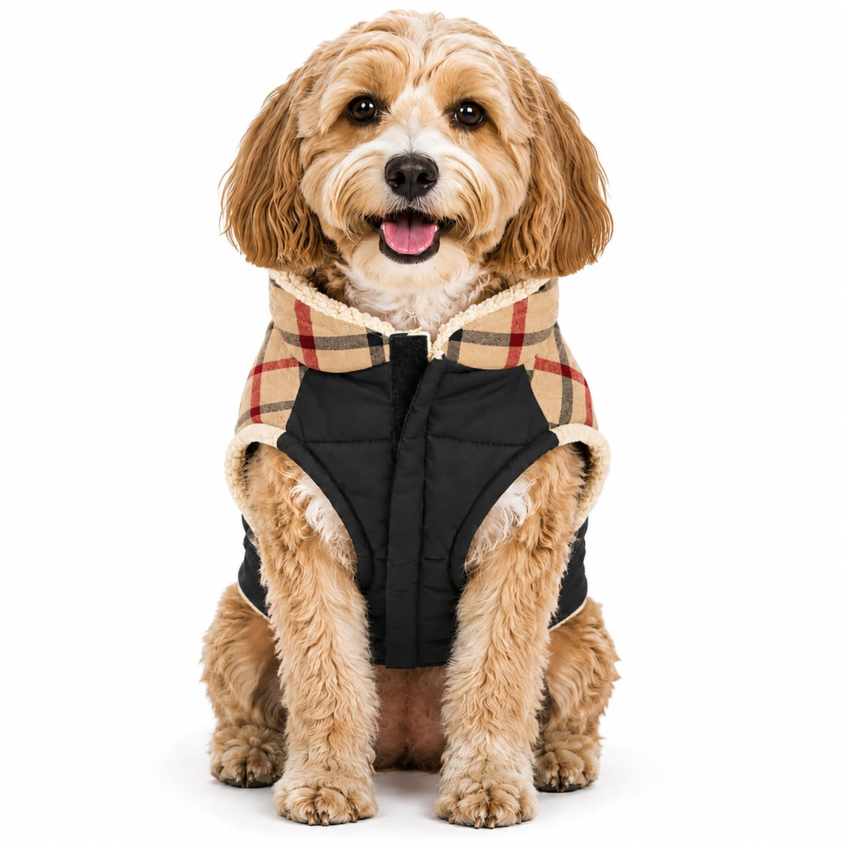 Pet Life Allegiance Classical Insulated Plaid Fashion Dog Jacket | HT Animal Supply
