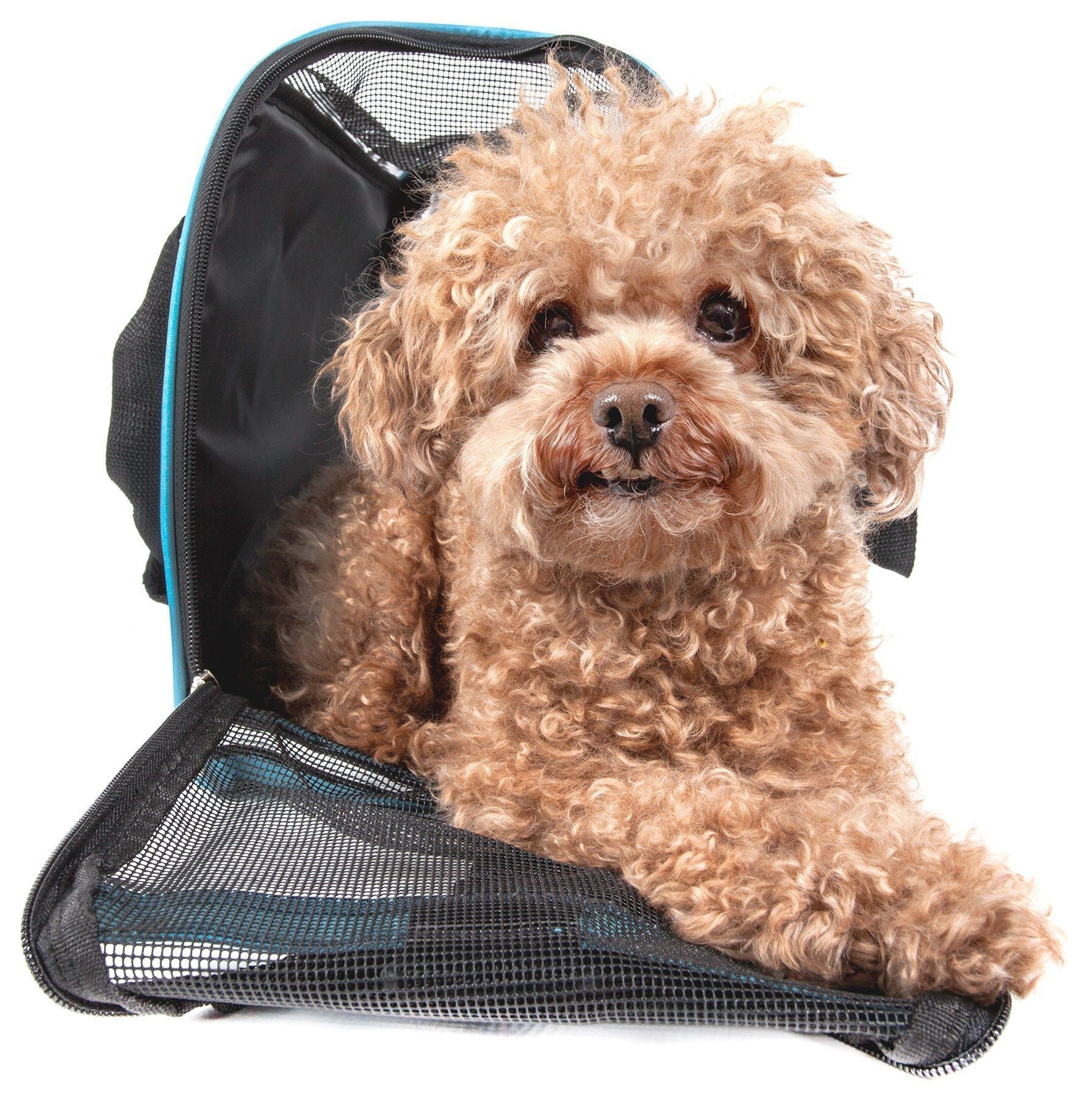 Pet Life Altitude Force Airline Approved Sporty Zippered Folding Fashion Pet Dog Carrier