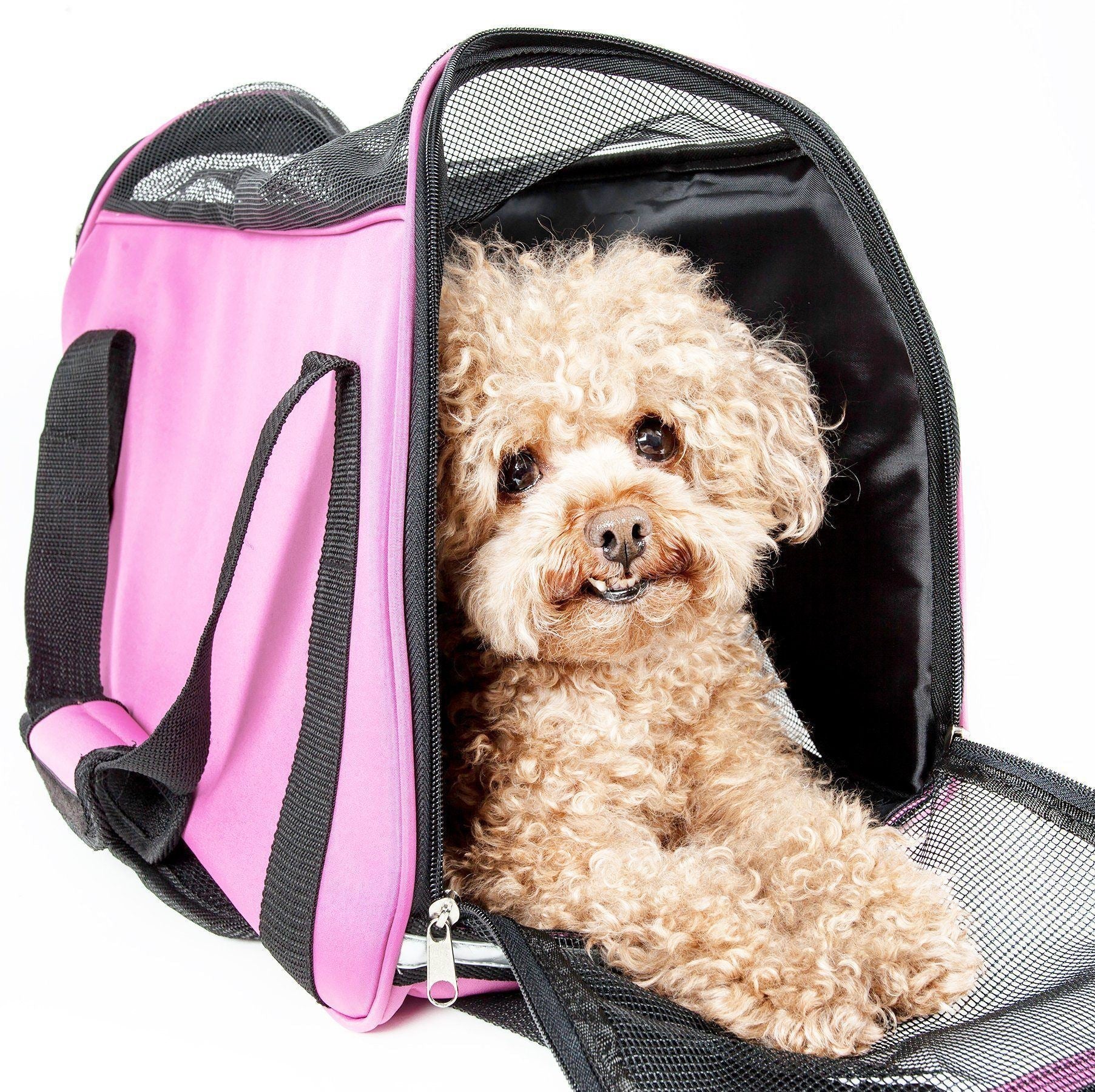 Pet Life Altitude Force Airline Approved Sporty Zippered Folding Fashion Pet Dog Carrier