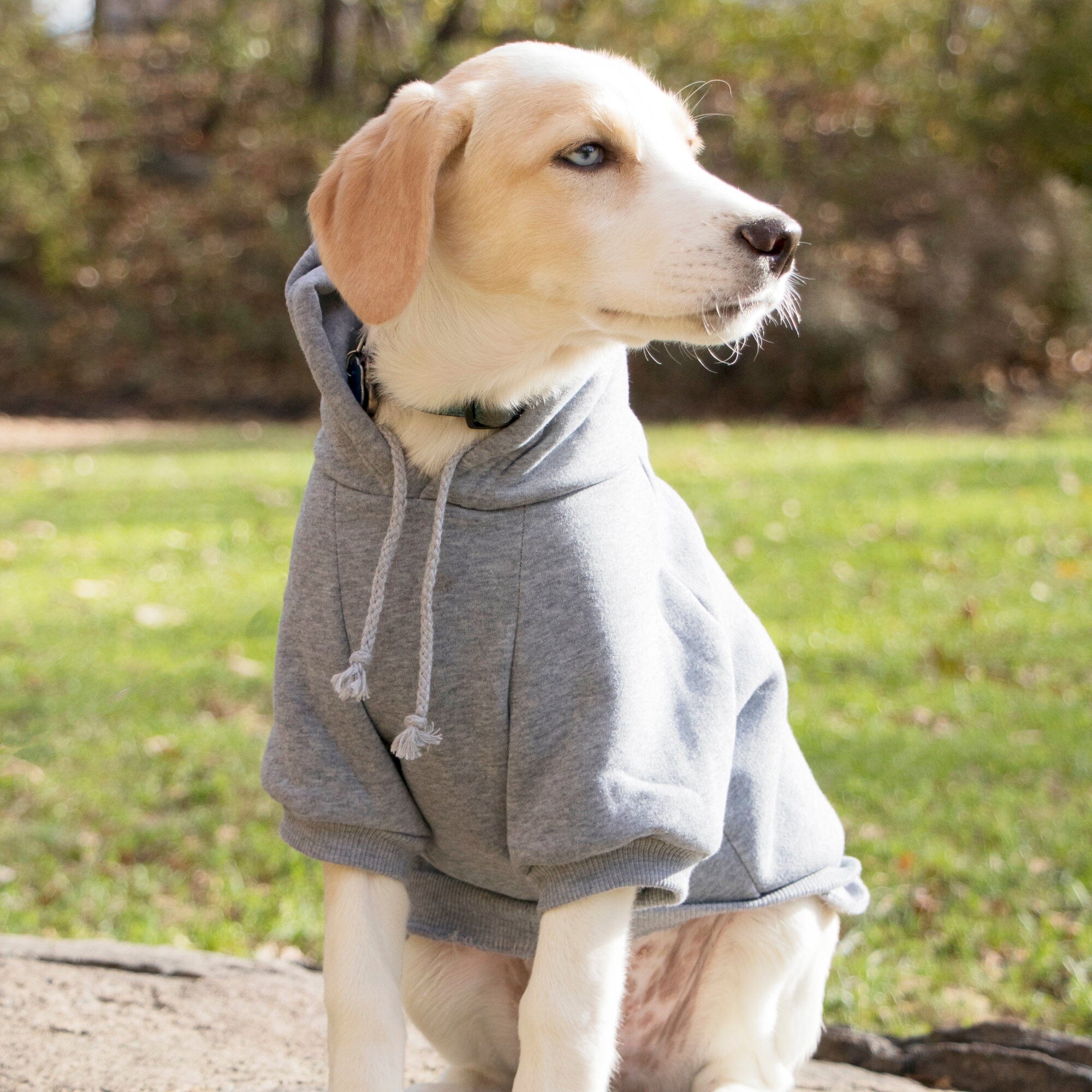 Pet Life American Classic Fashion Plush Cotton Hooded Dog Sweater | HT Animal Supply
