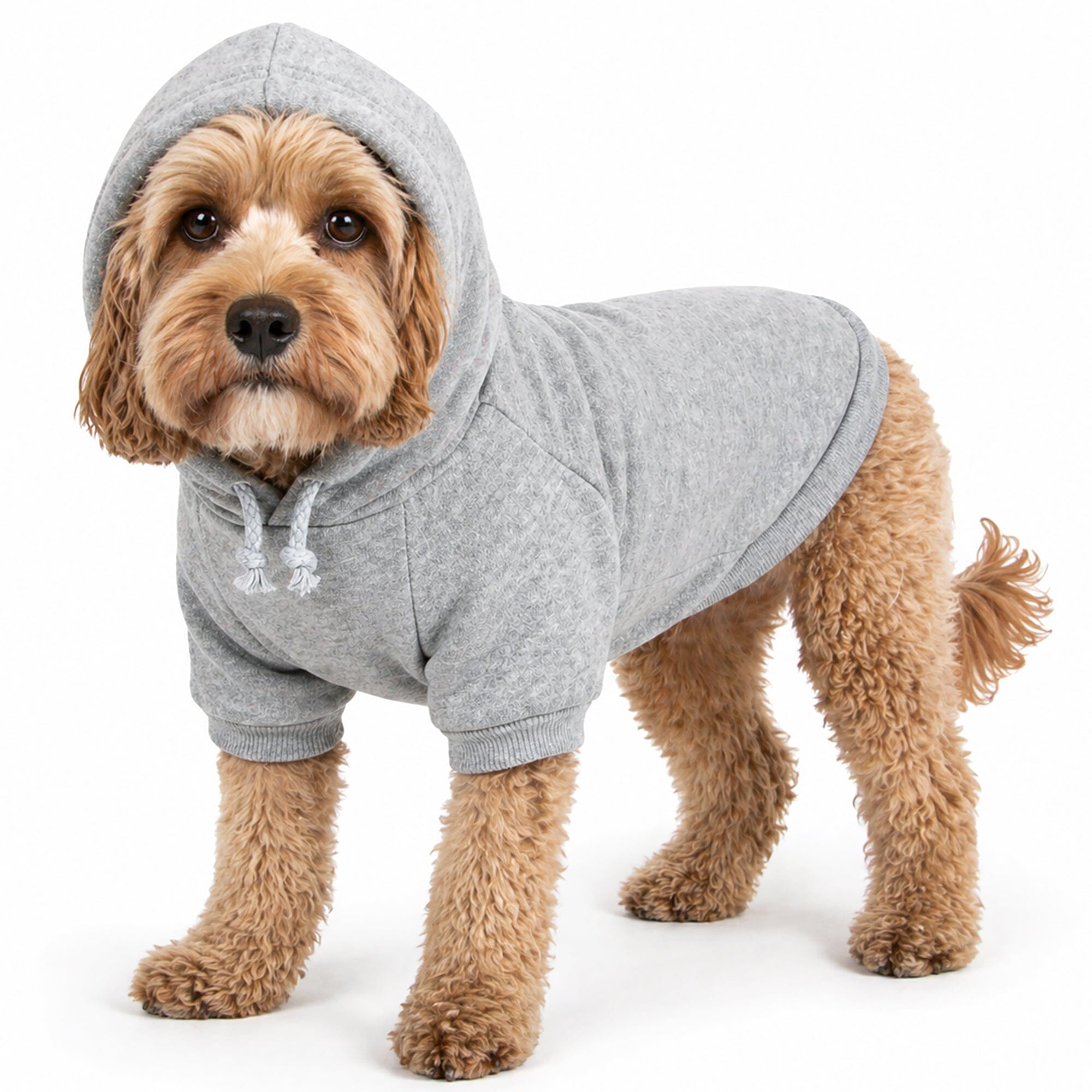 Pet Life American Classic Fashion Plush Cotton Hooded Dog Sweater | HT Animal Supply