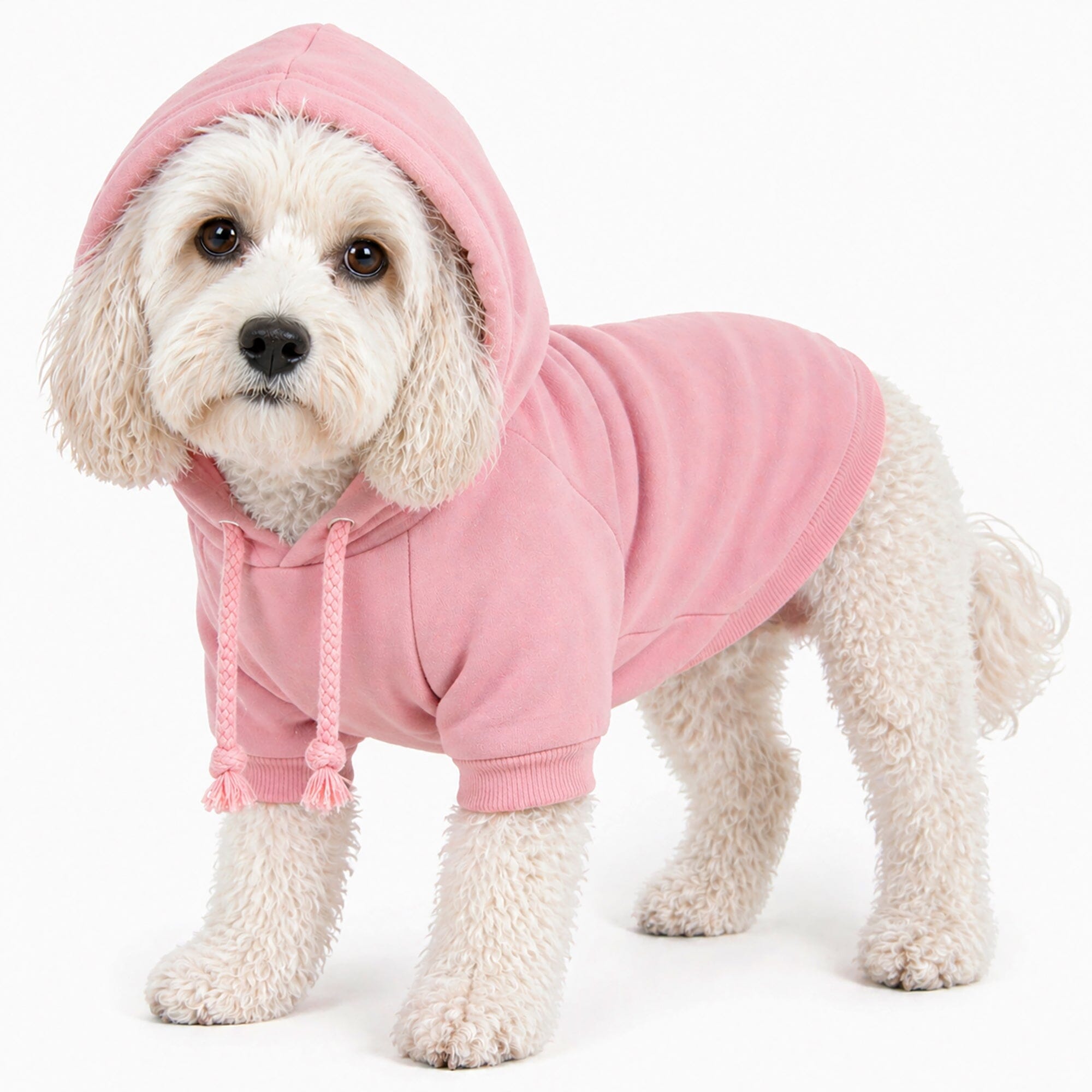 Pet Life American Classic Fashion Plush Cotton Hooded Dog Sweater | HT Animal Supply