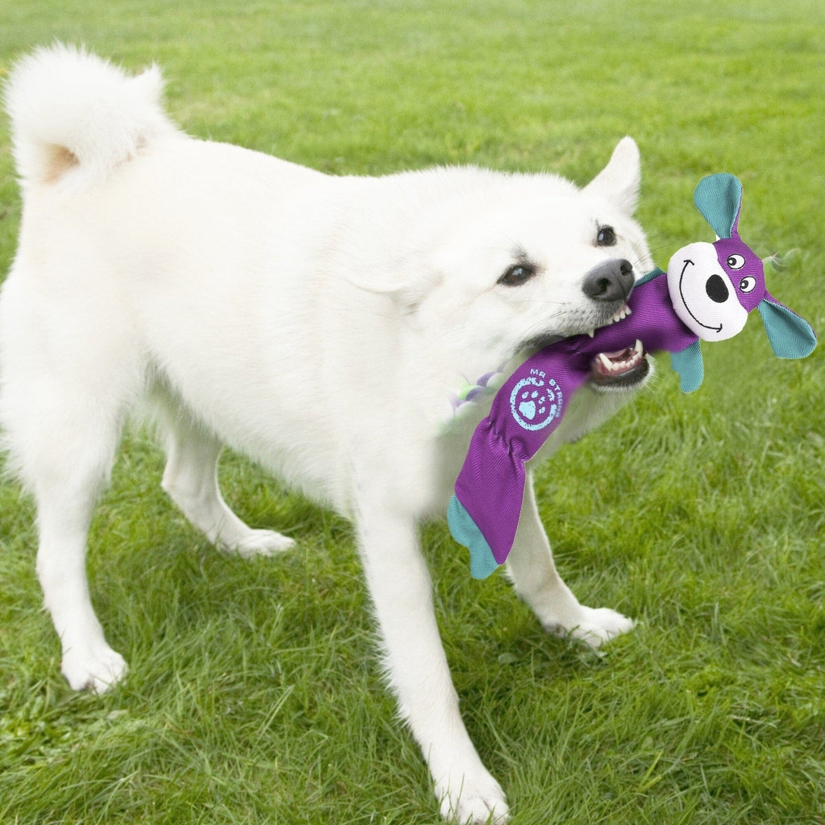 Pet Life Animated Extra Long Nylon Squeaker Water-resistant Plush Dog Toy | HT Animal Supply