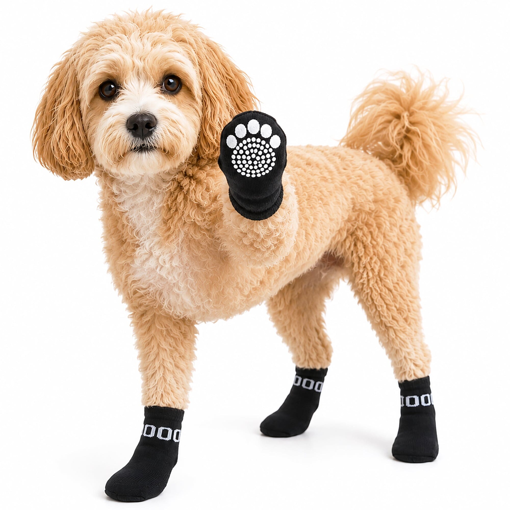 Pet Life Anti-Slip Rubberized Gripped Breathable Stretch Pet Dog Socks - Set of 4 | HT Animal Supply