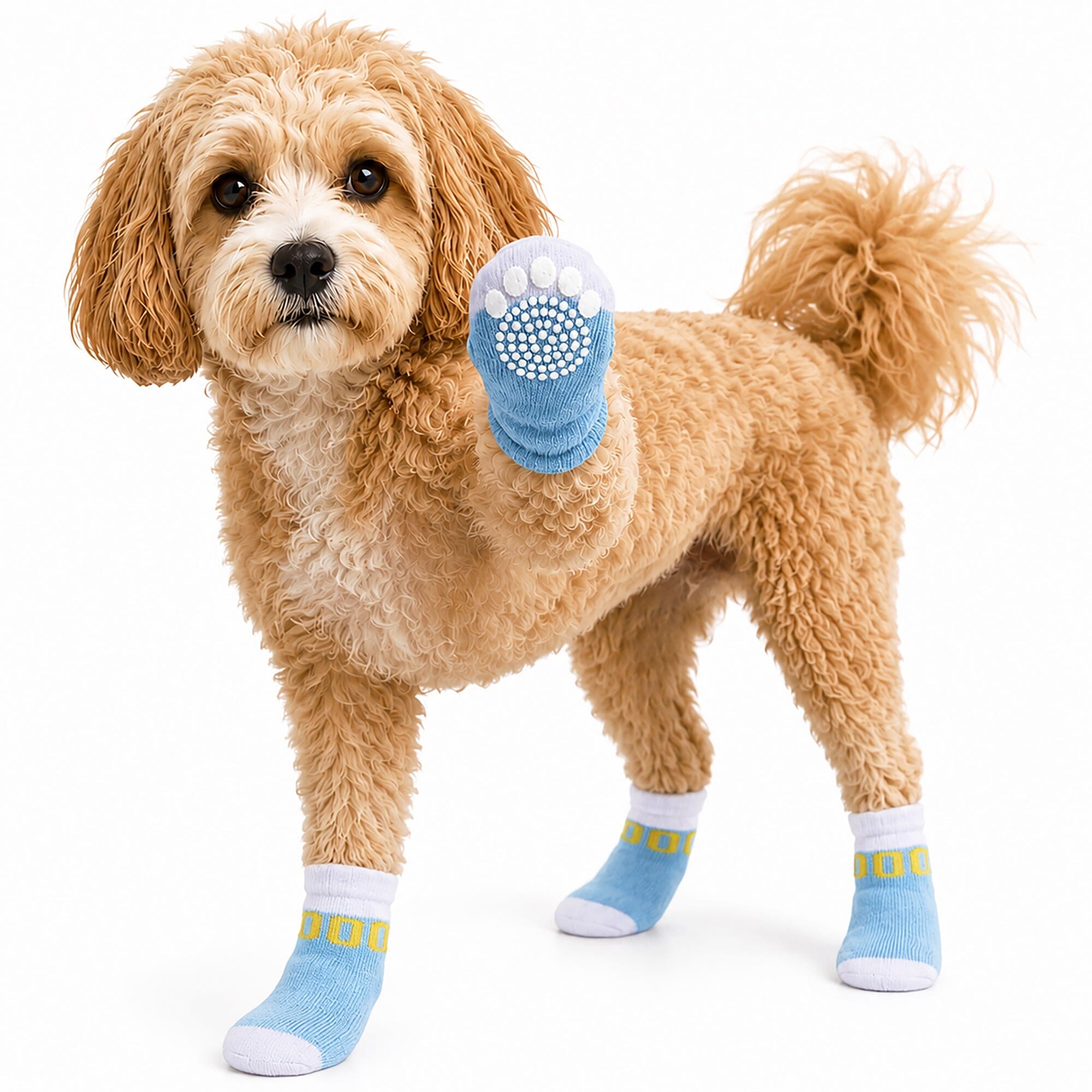 Pet Life Anti-Slip Rubberized Gripped Breathable Stretch Pet Dog Socks - Set of 4 | HT Animal Supply